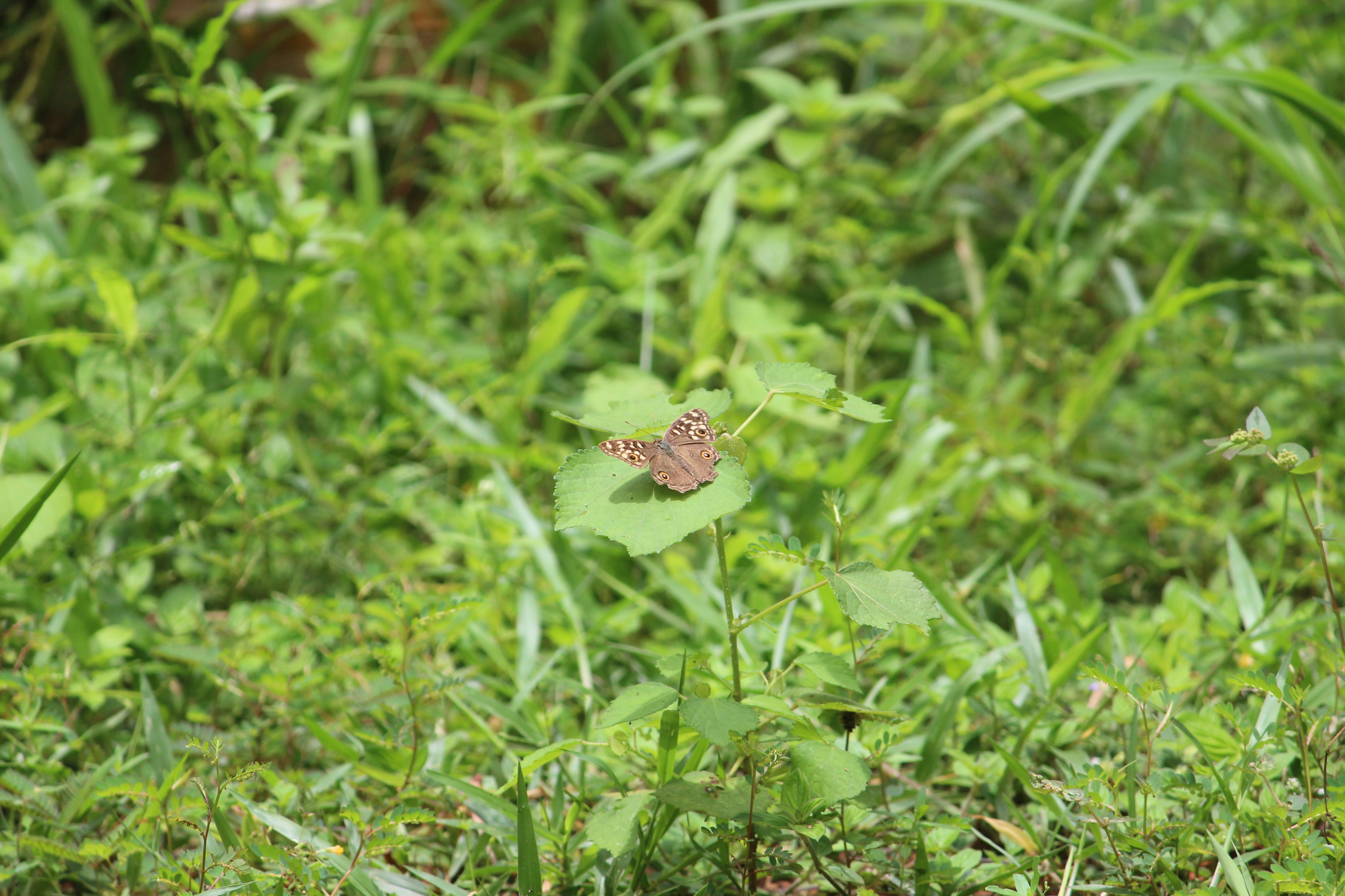 Photo by drmuhammedtk