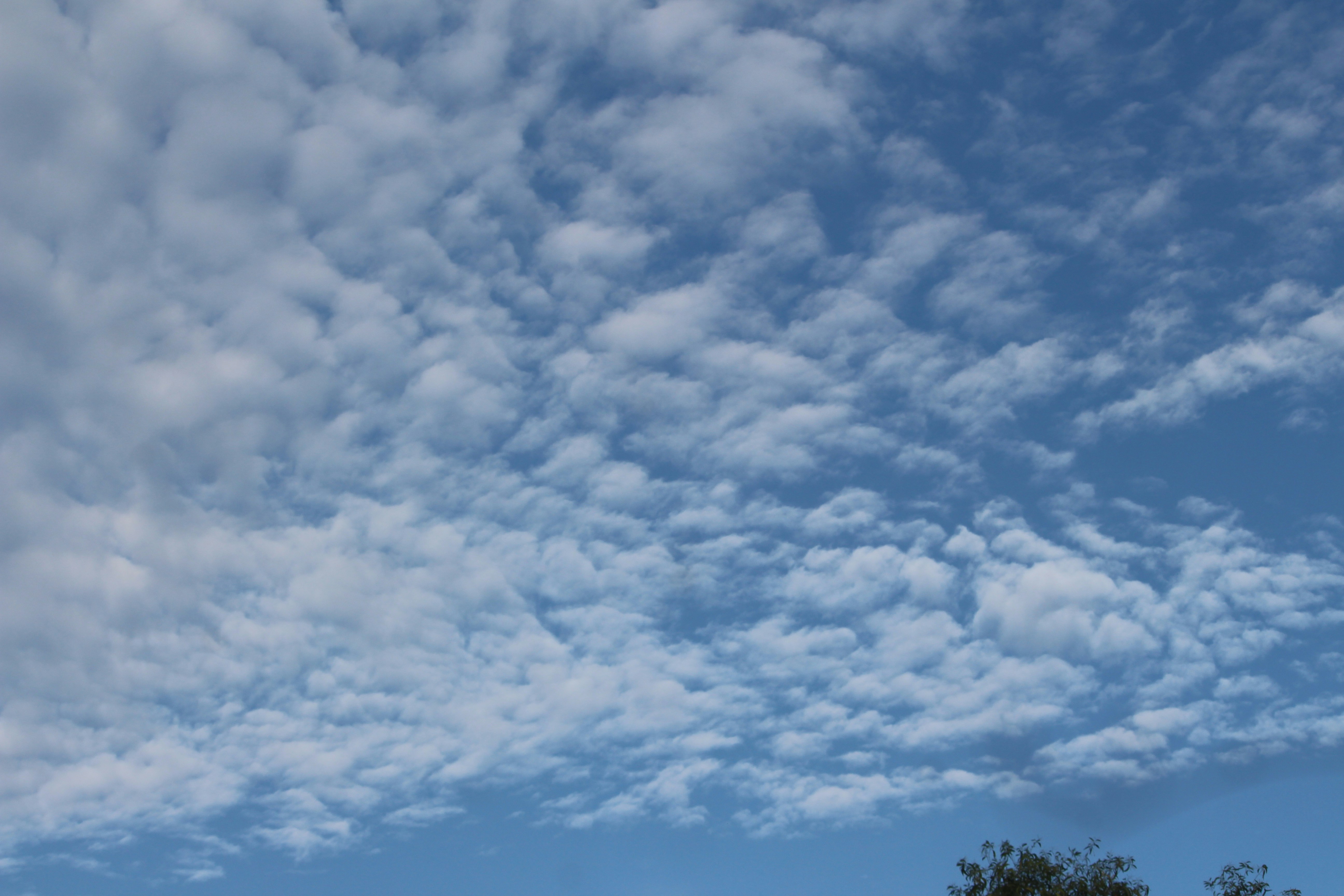 Photo by drmuhammedtk