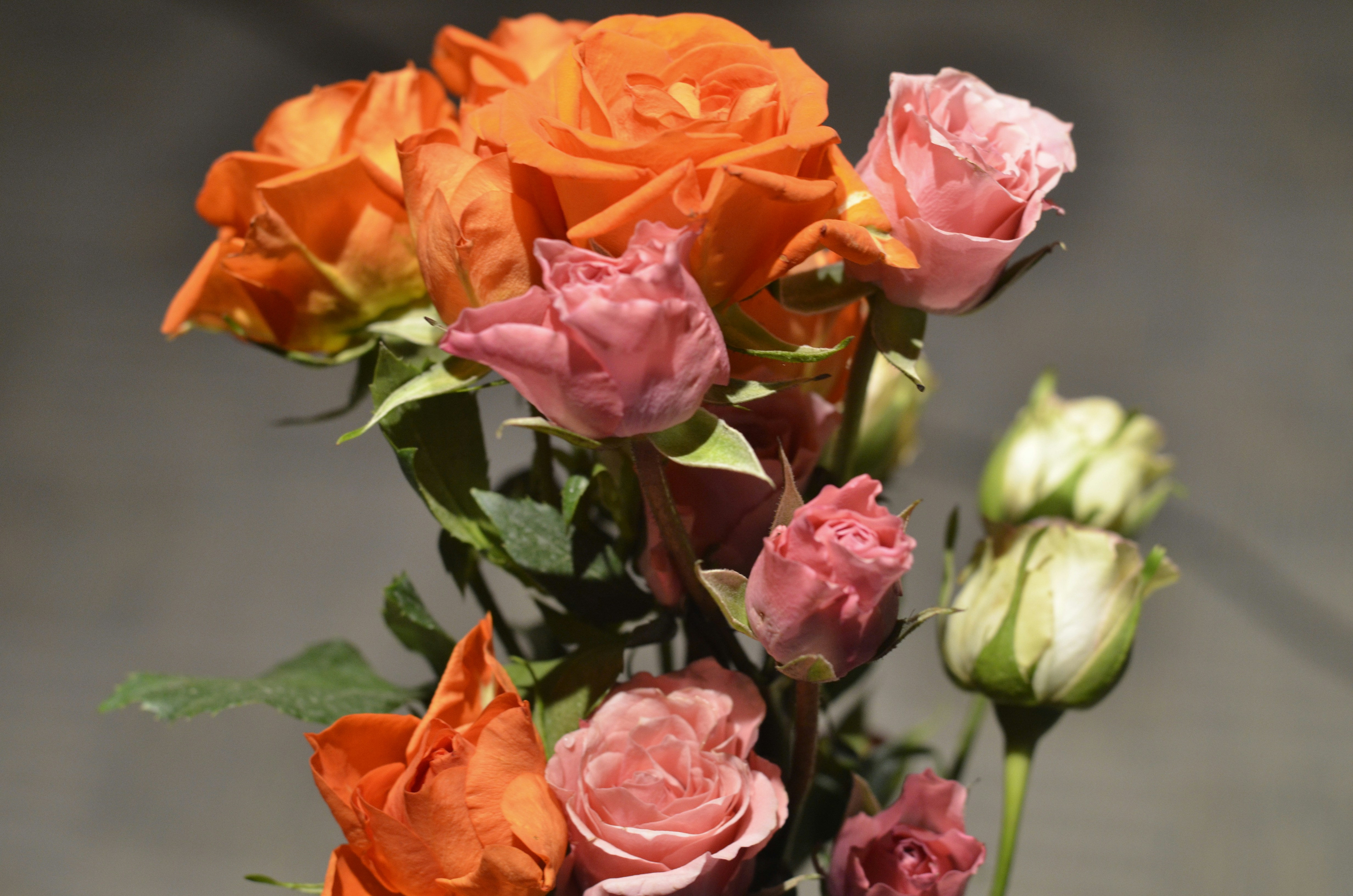 Photo by moments_with_myke