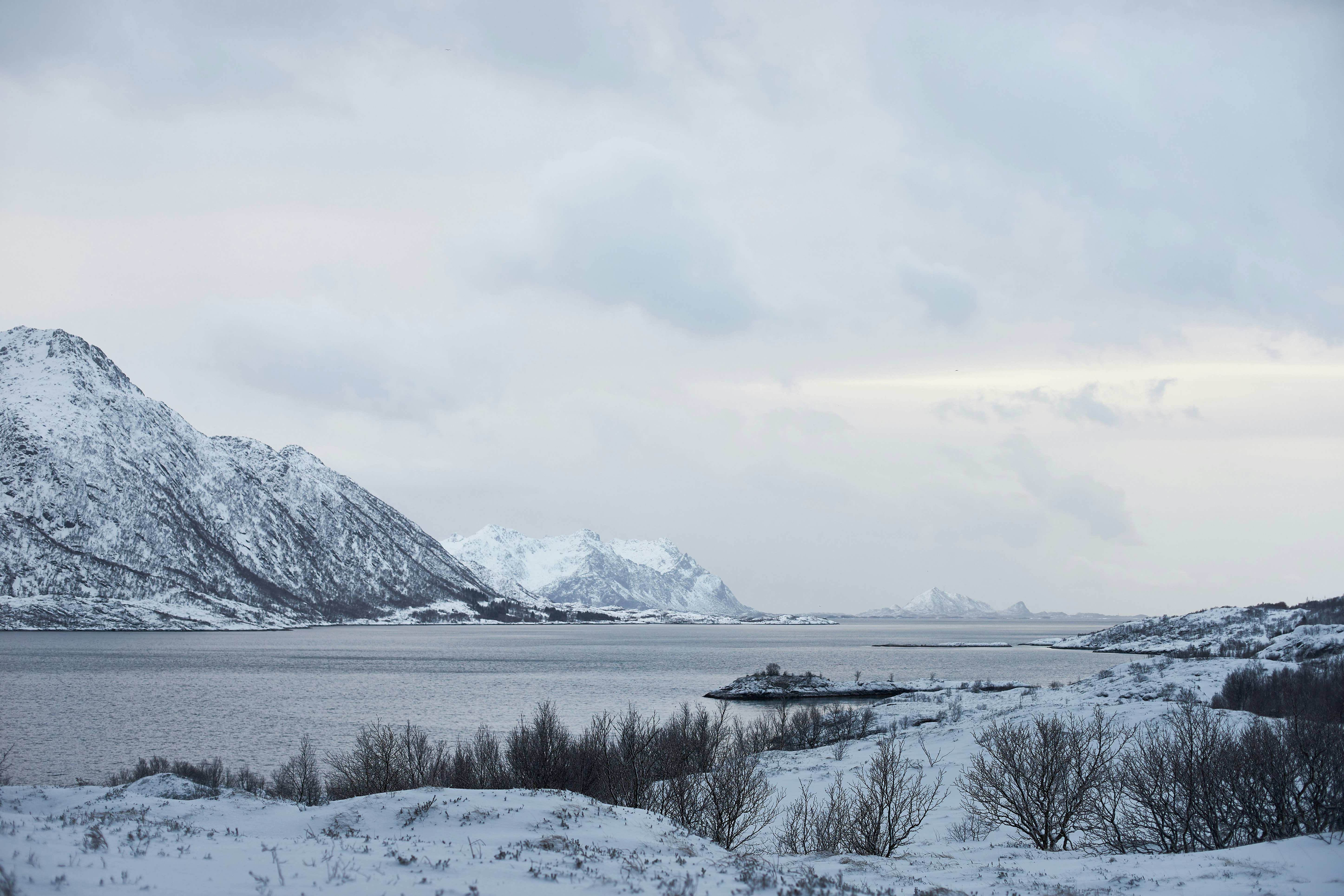 Photo by wolfgang_hasselmann