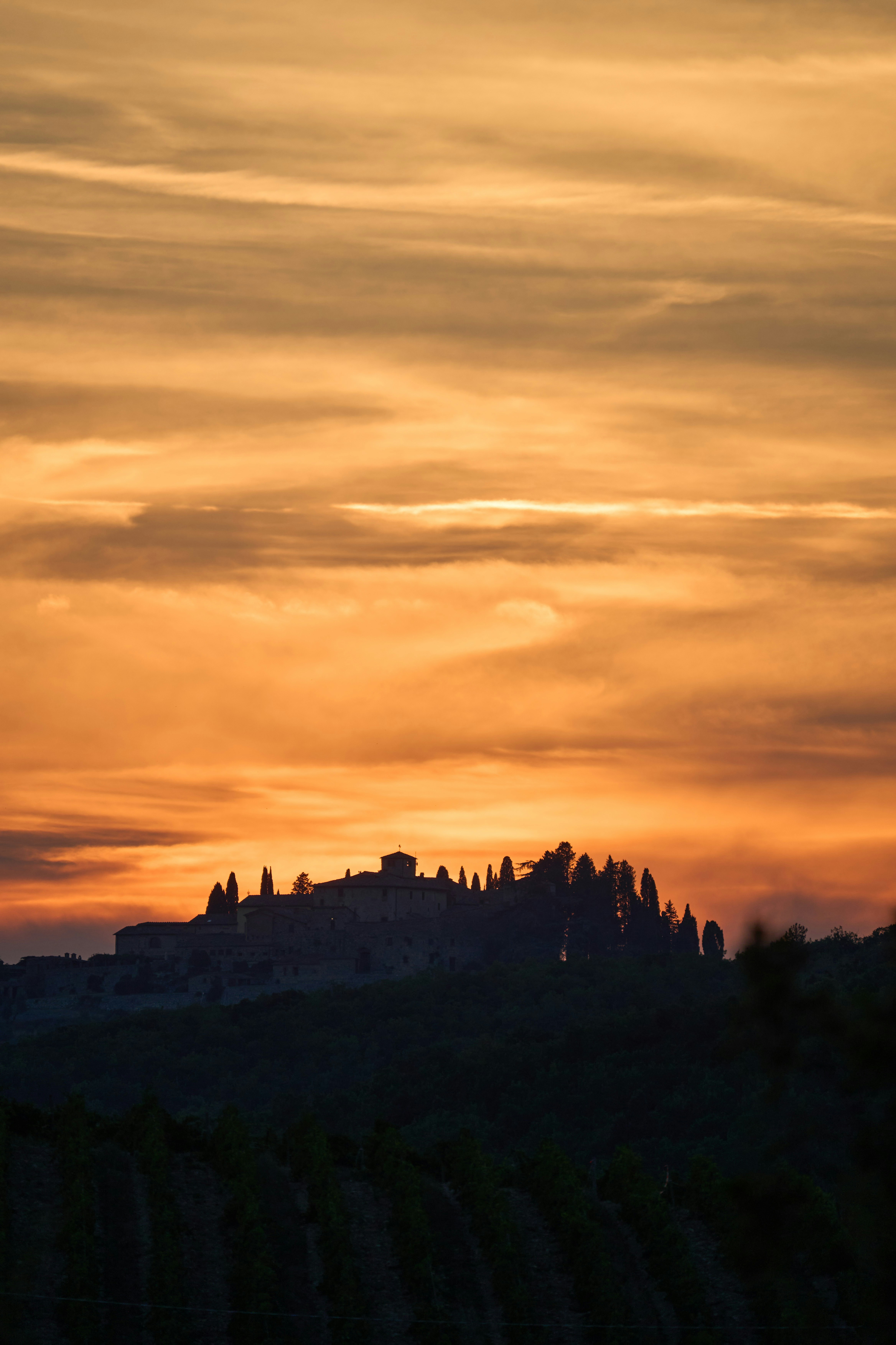 Photo by wolfgang_hasselmann