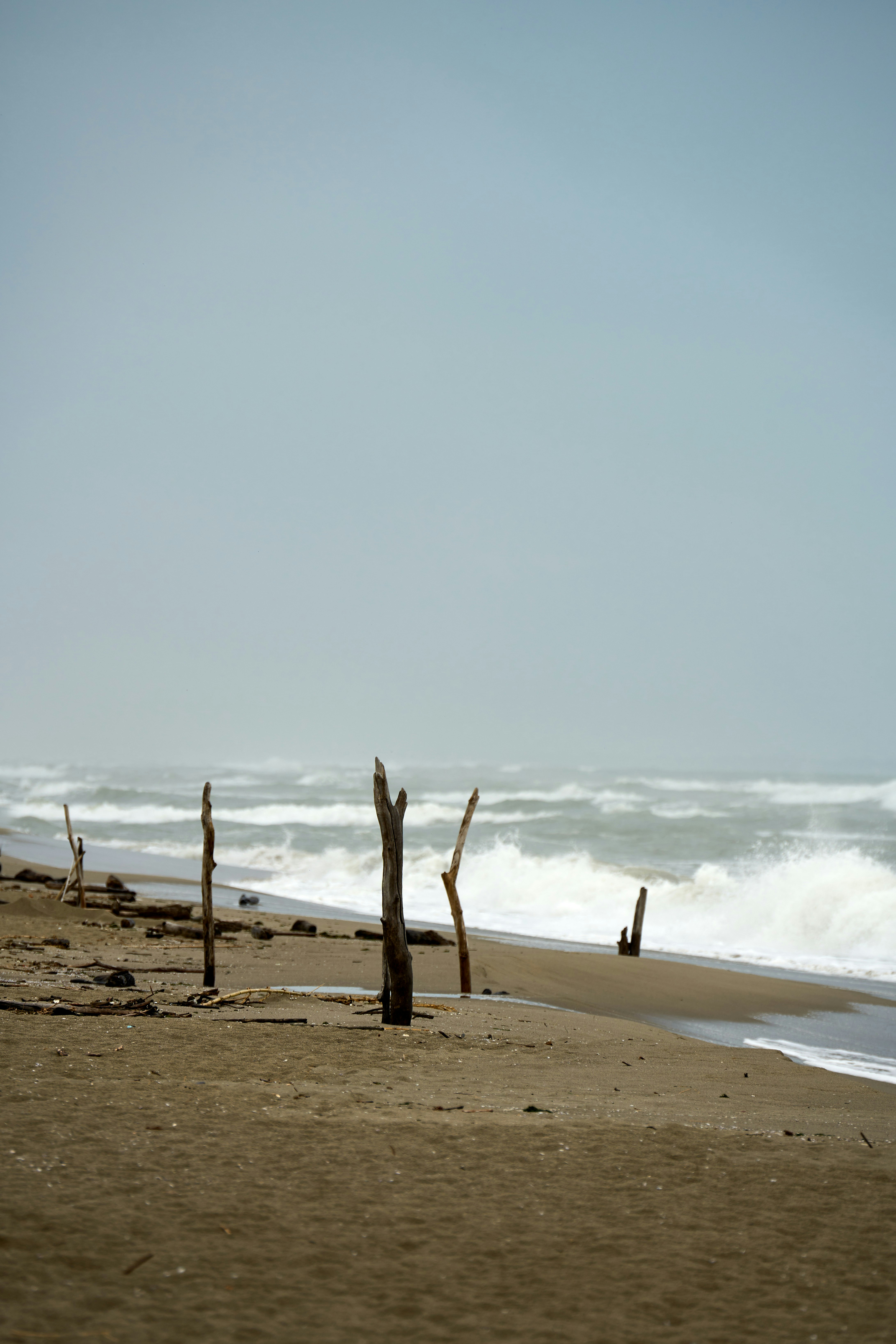 Photo by wolfgang_hasselmann