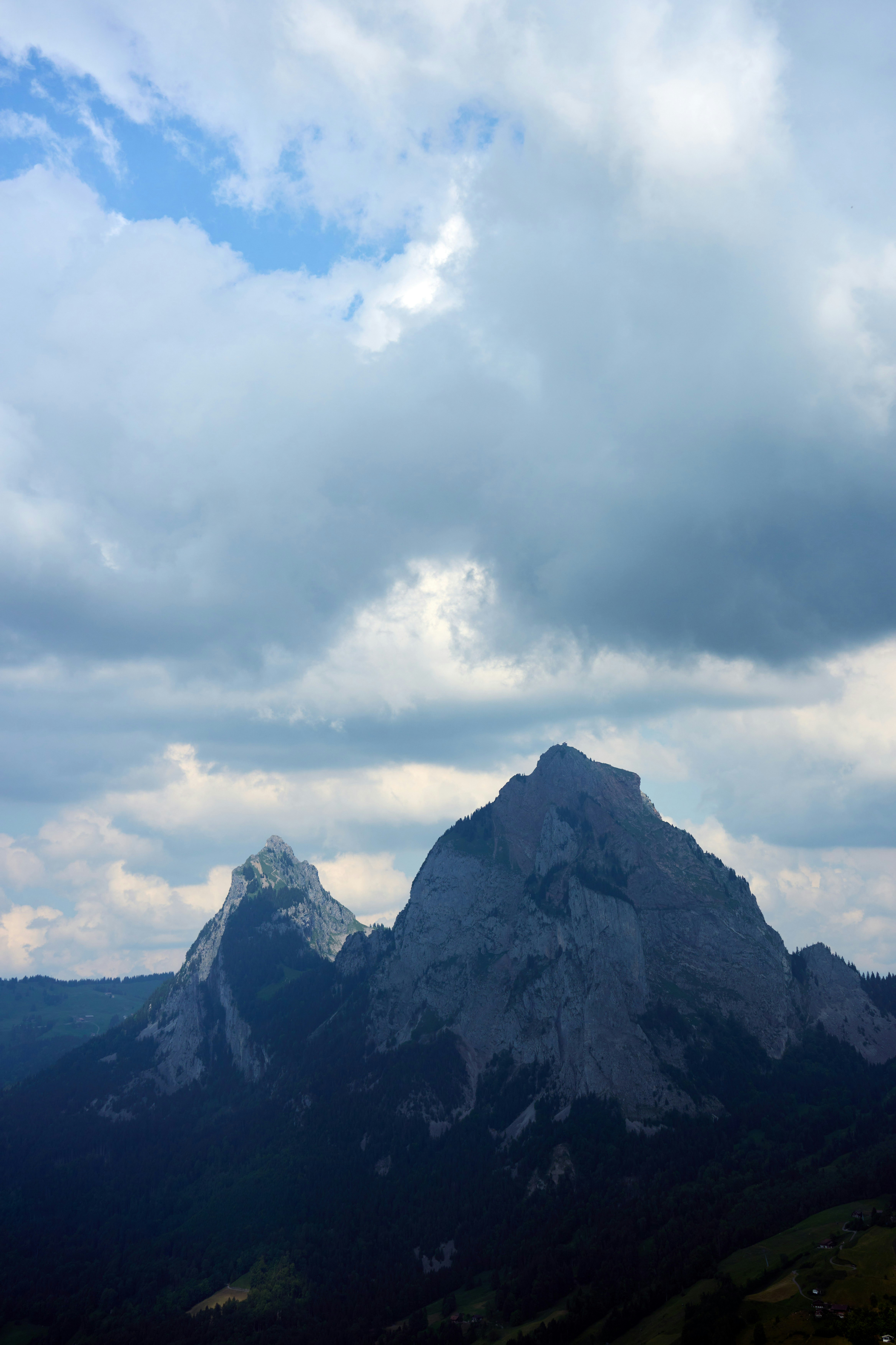 Photo by wolfgang_hasselmann