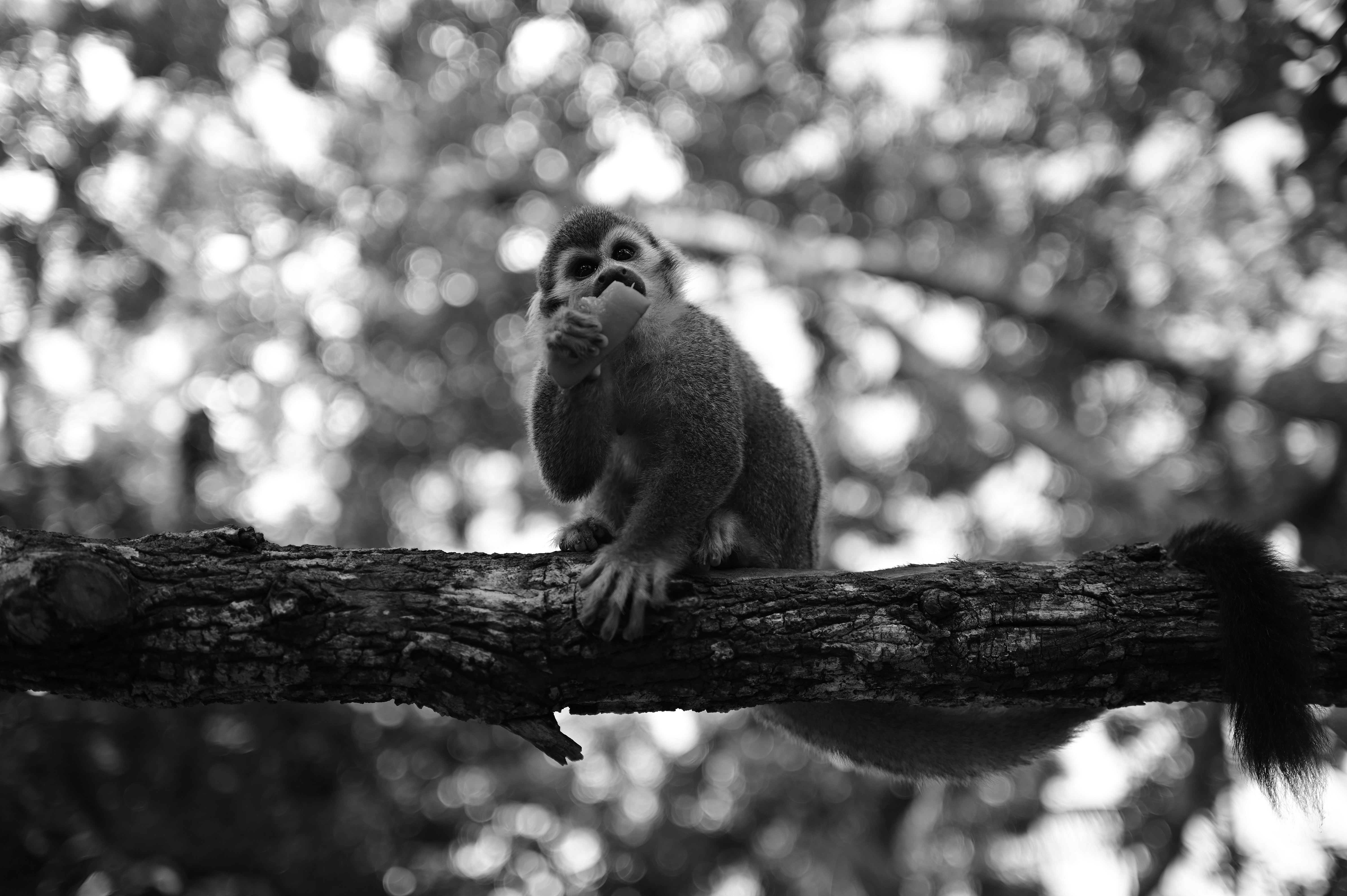 Photo by zulfaqarsolah