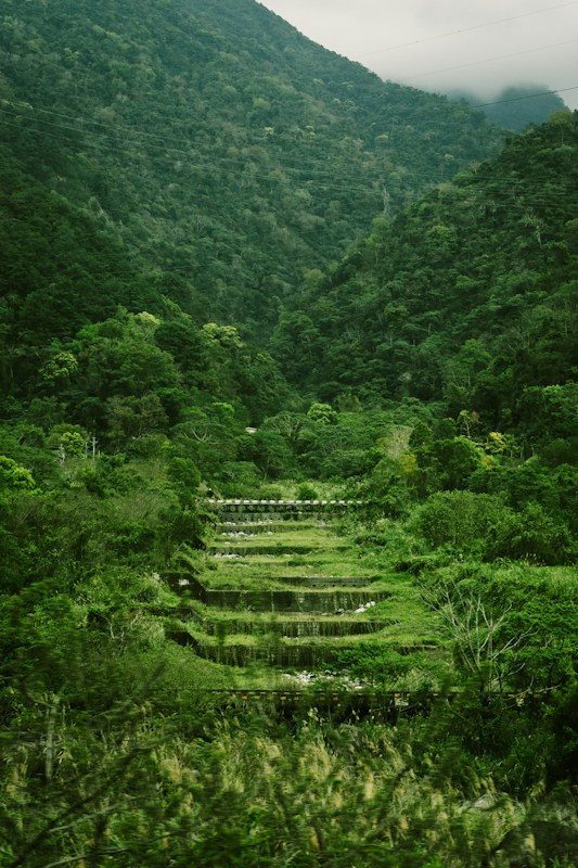 台灣山區層疊的綠色山巒與梯田