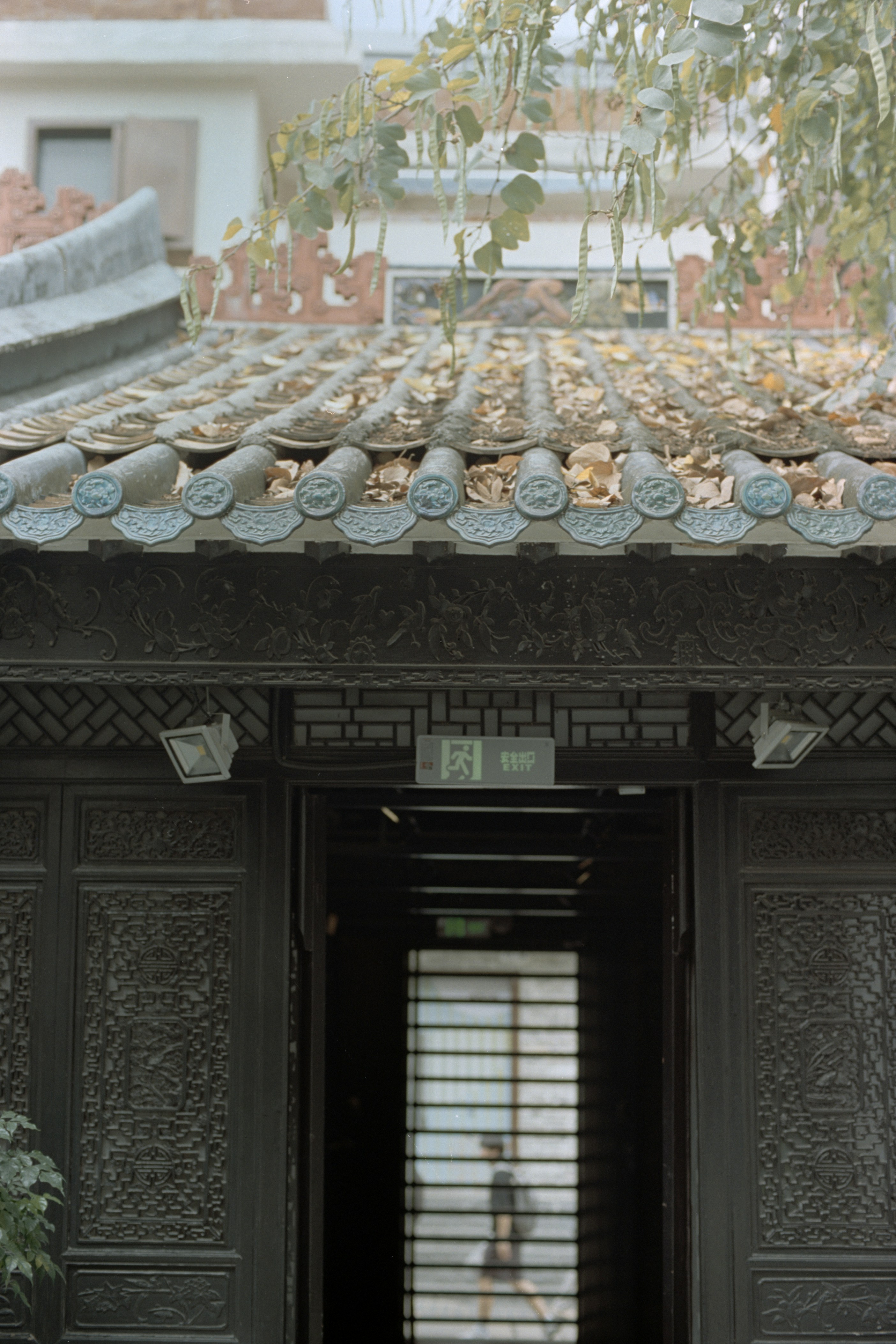 Photo by zhenyao_photo