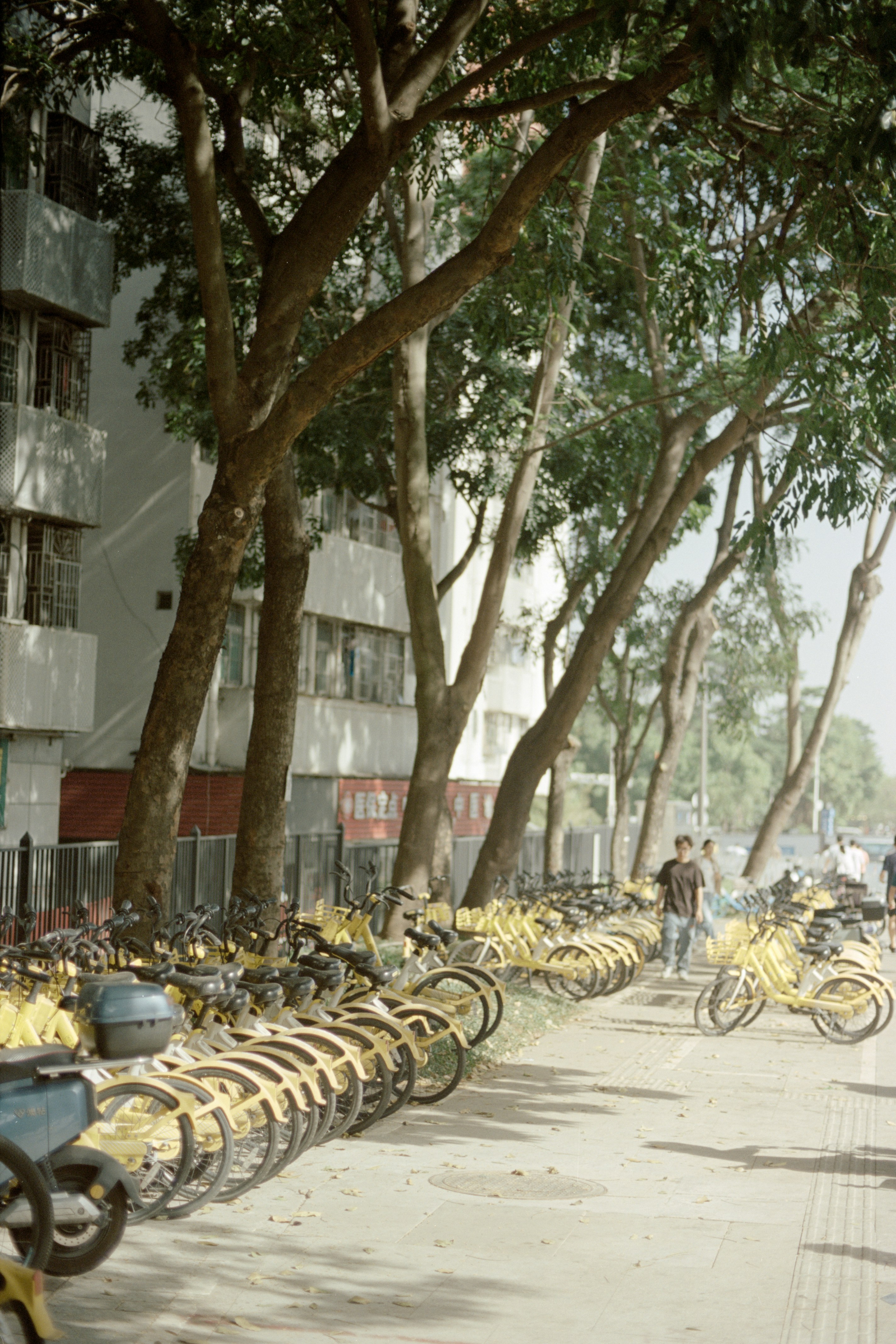 Photo by zhenyao_photo