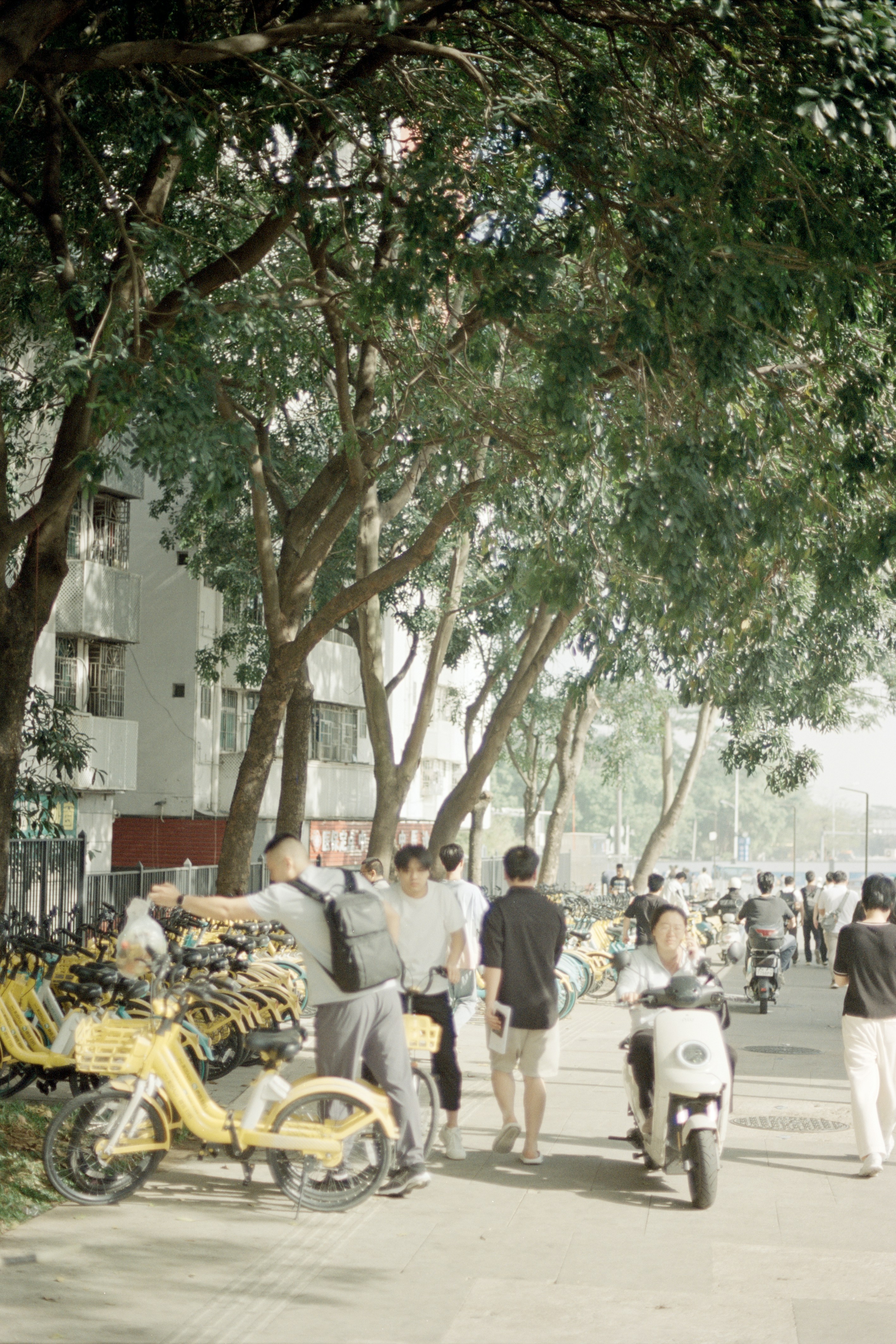 Photo by zhenyao_photo