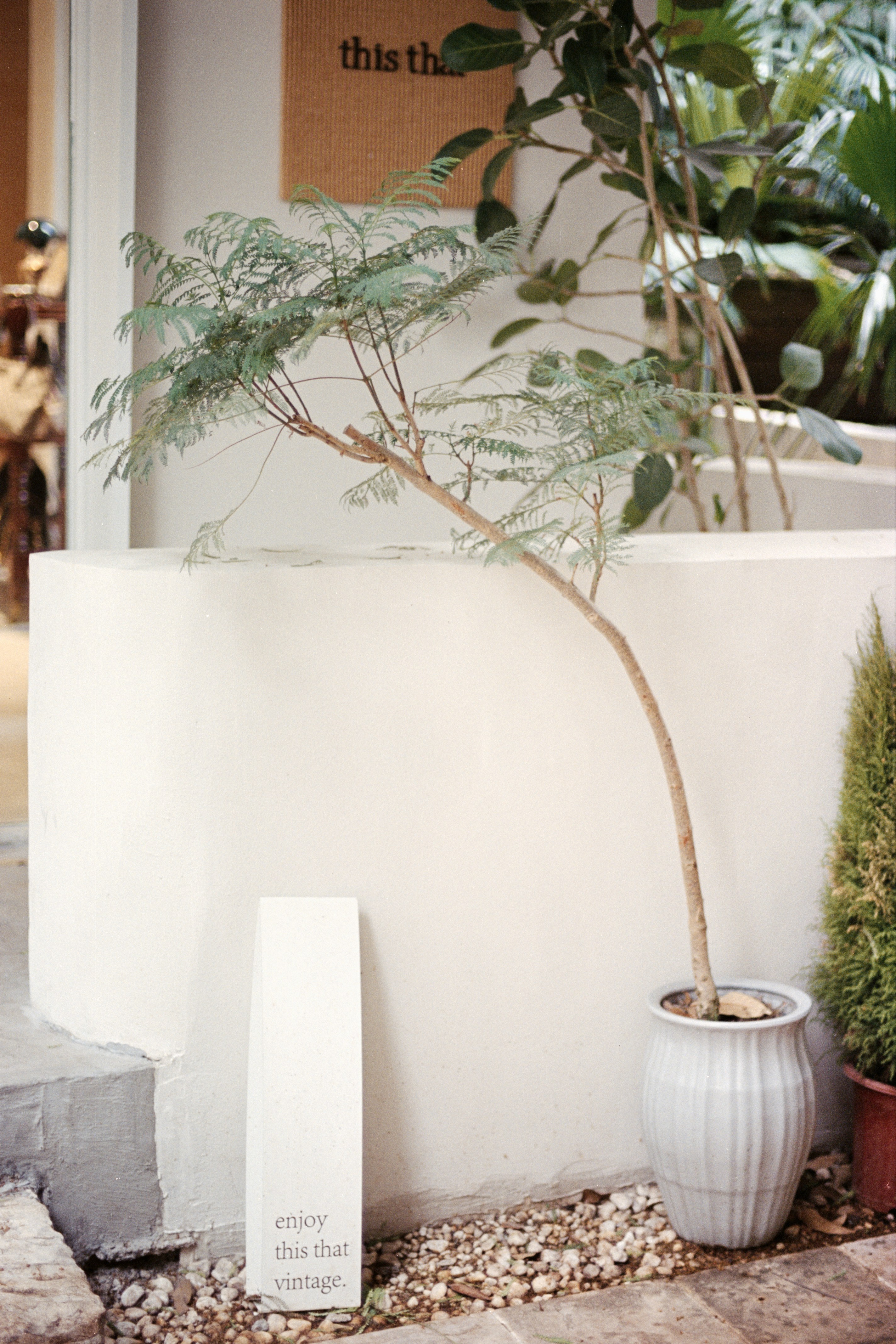 Photo by zhenyao_photo