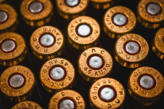 Here's a short caption: bullets are shown in close-up.