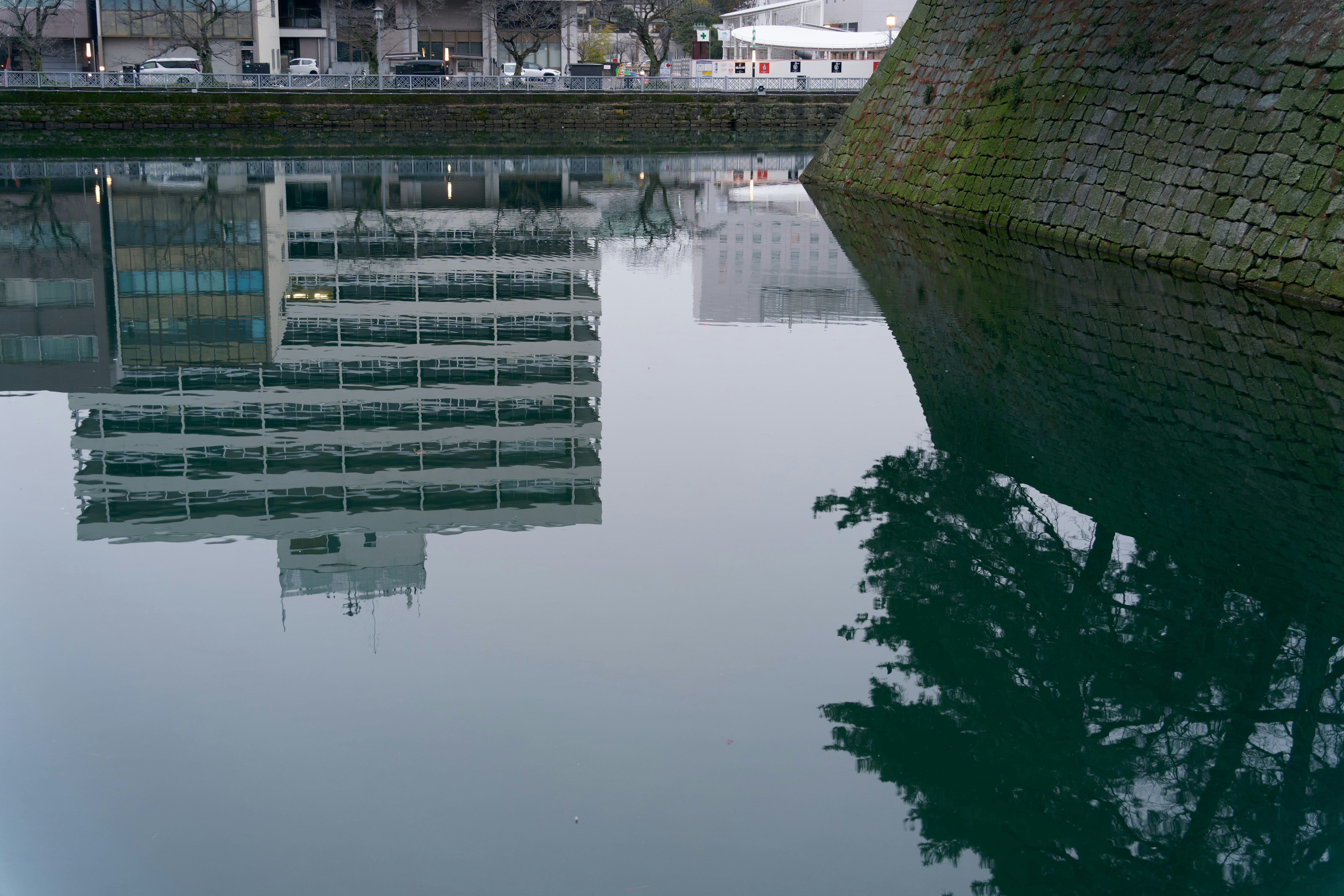 Photo by da_shika_photo