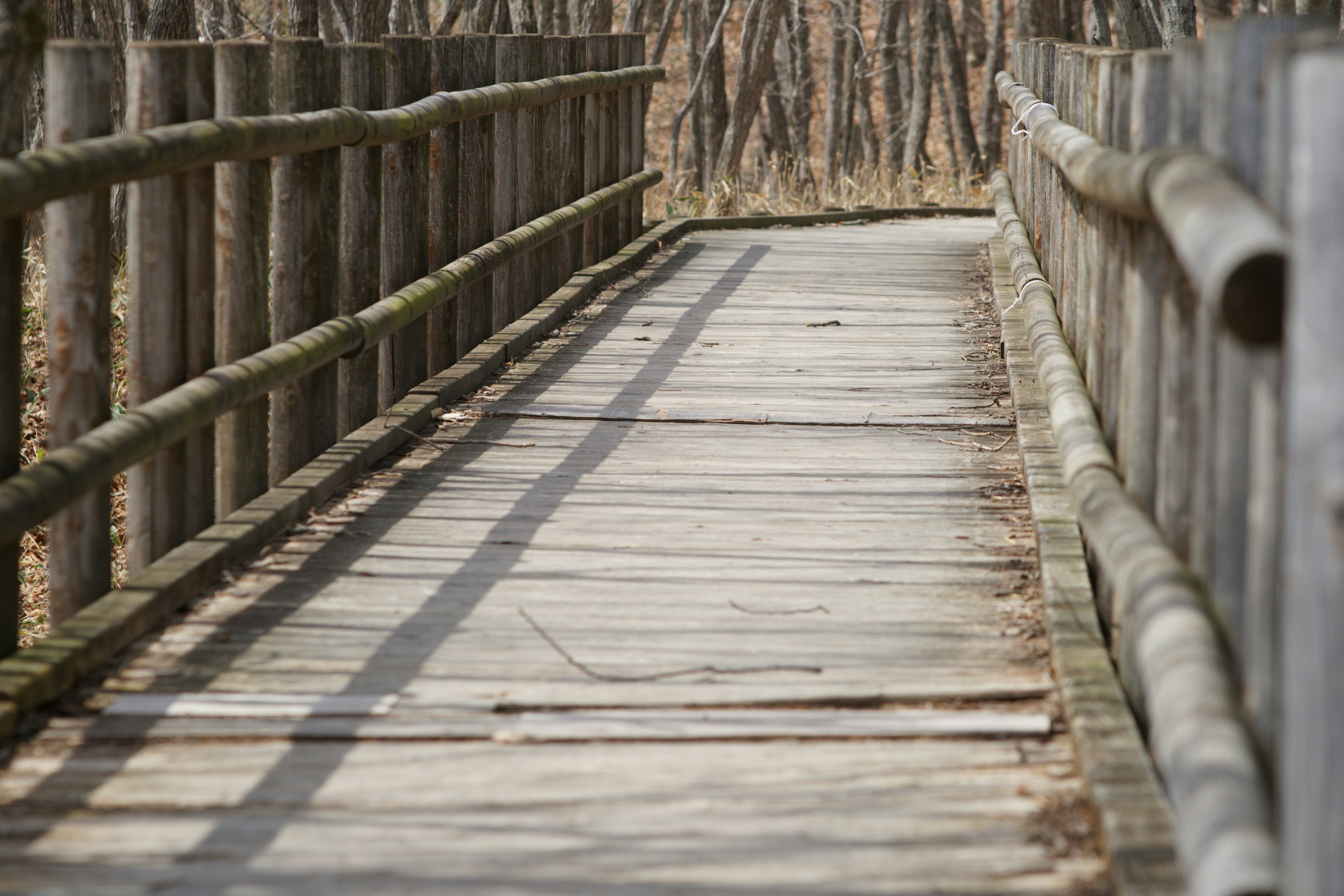 Photo by da_shika_photo