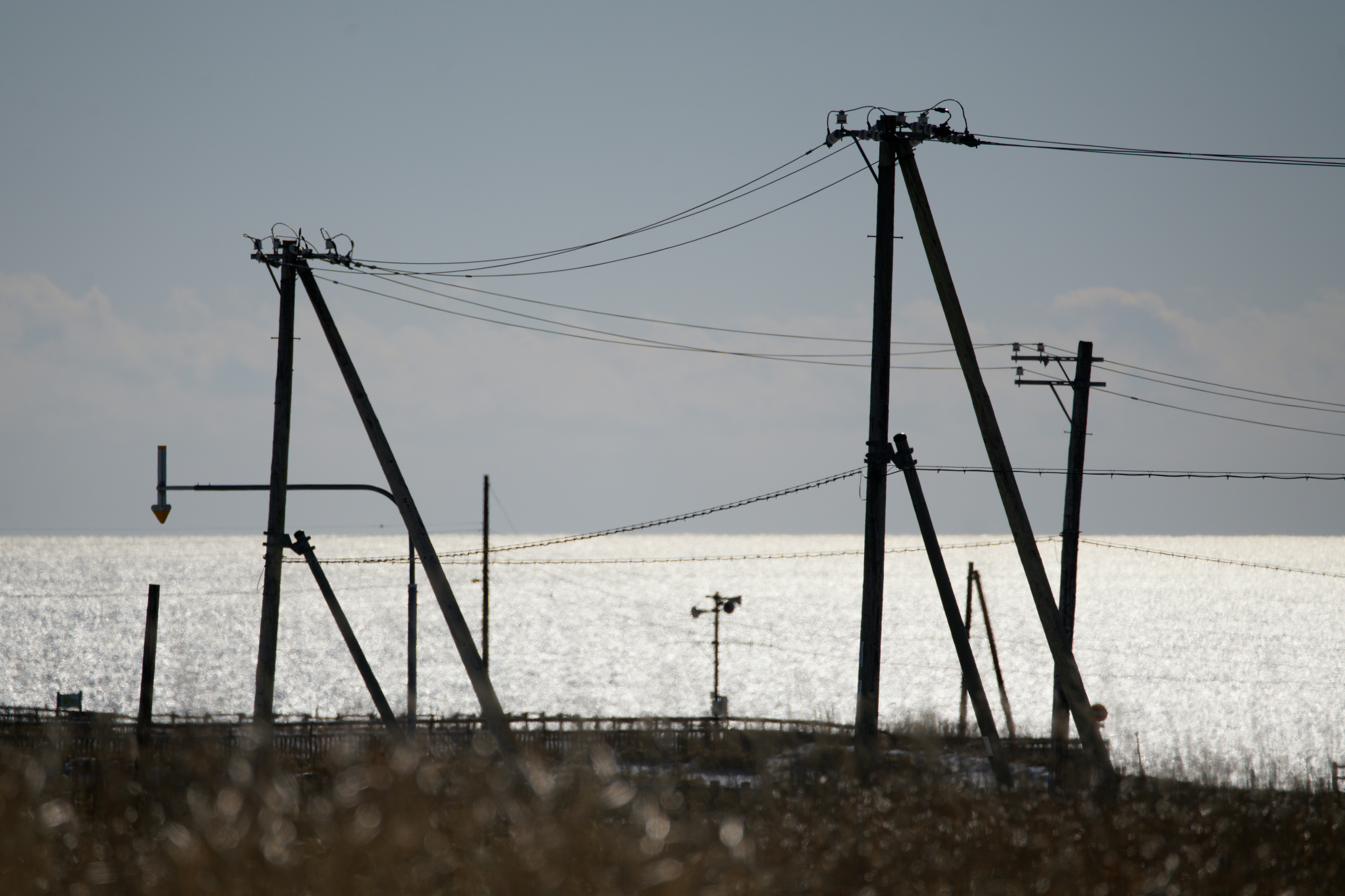 Photo by da_shika_photo