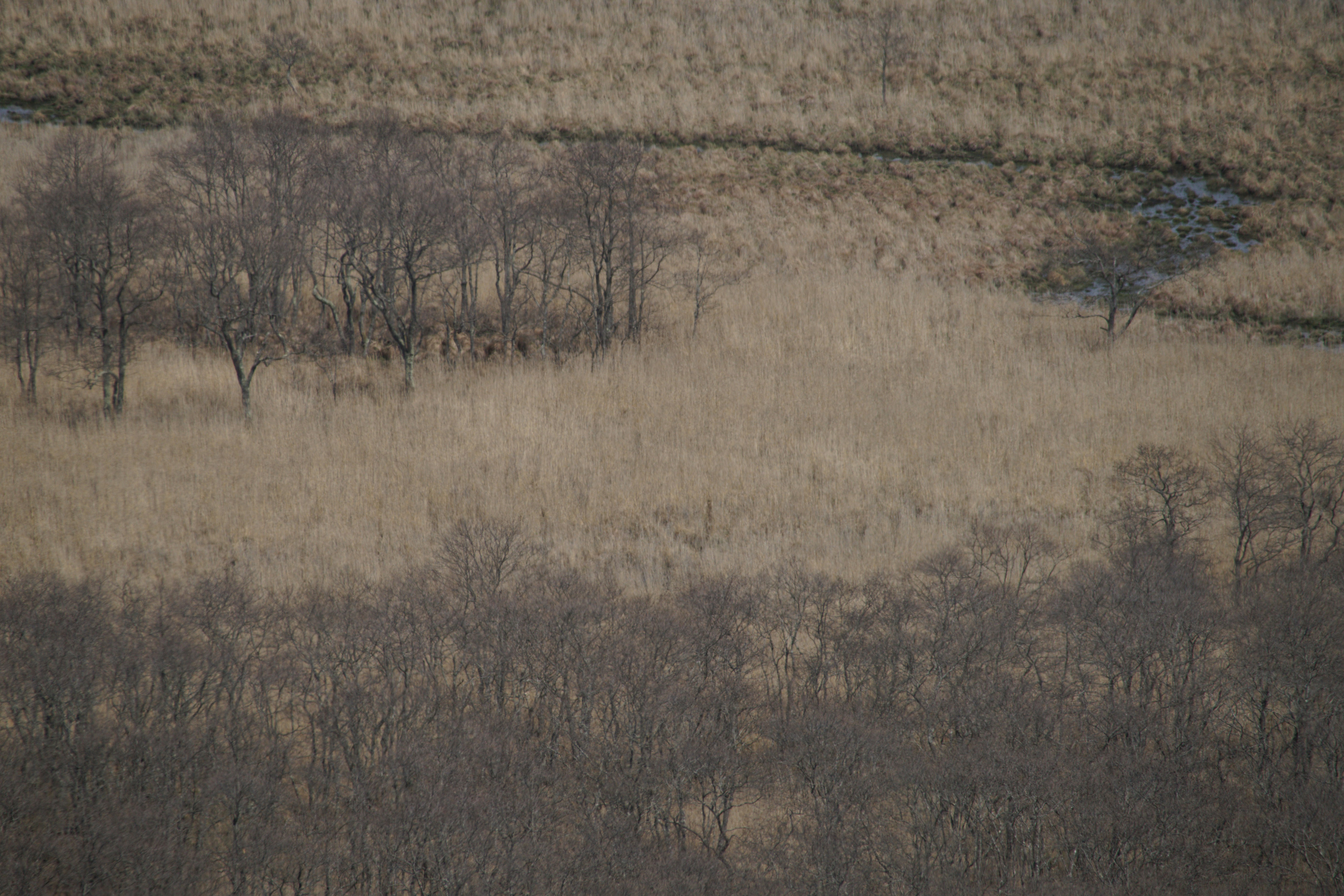 Photo by da_shika_photo