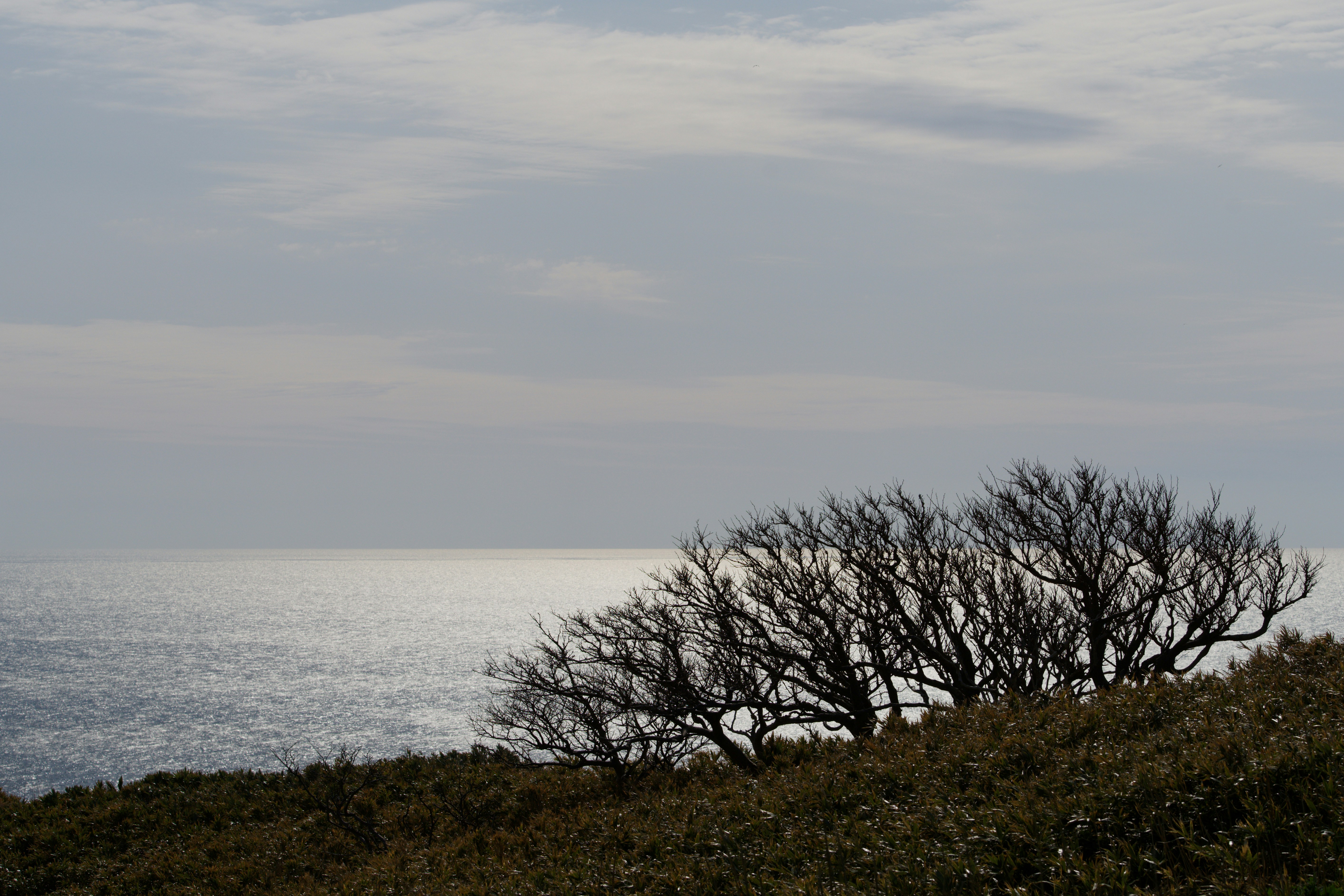 Photo by da_shika_photo