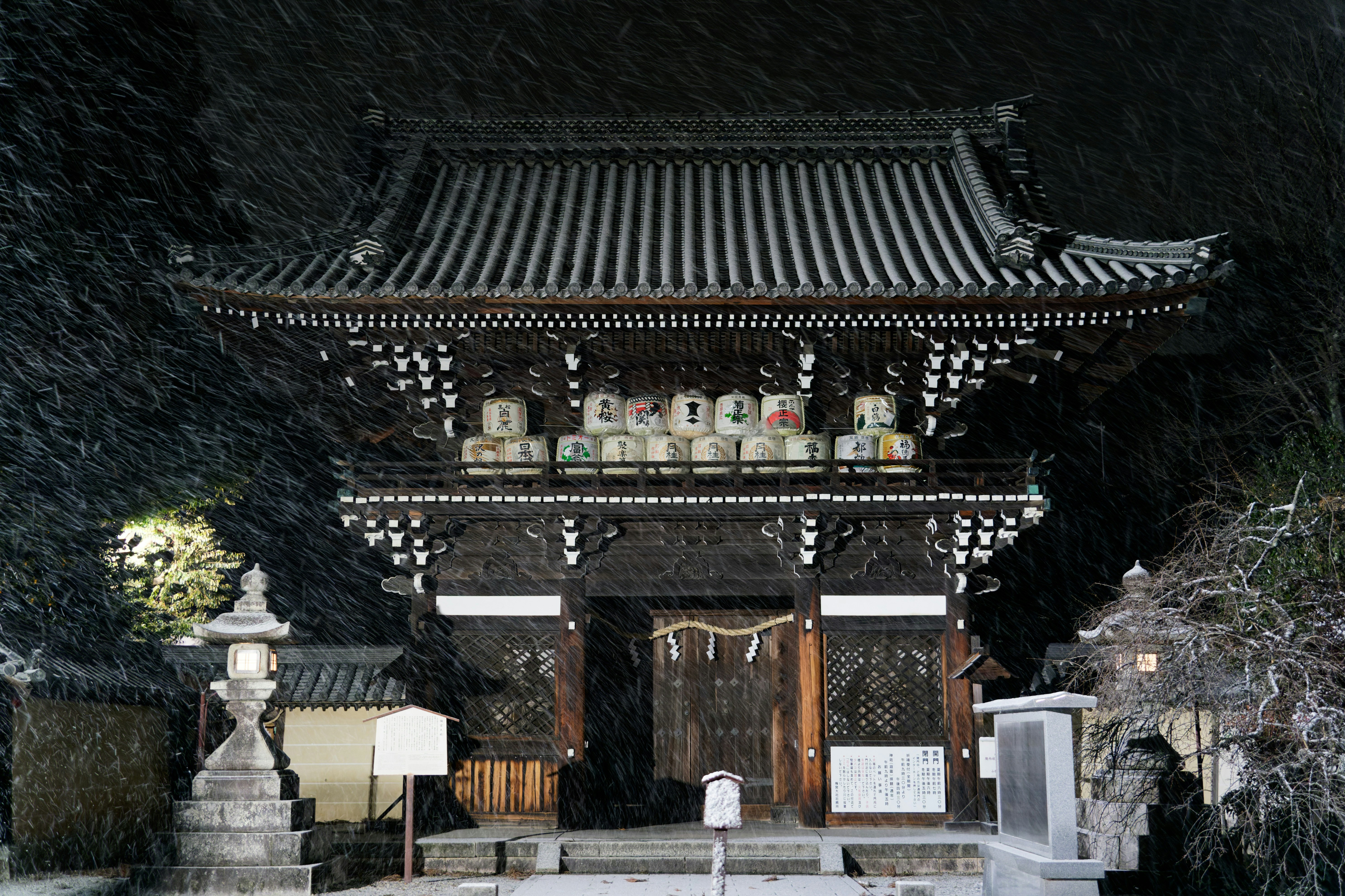 Photo by da_shika_photo