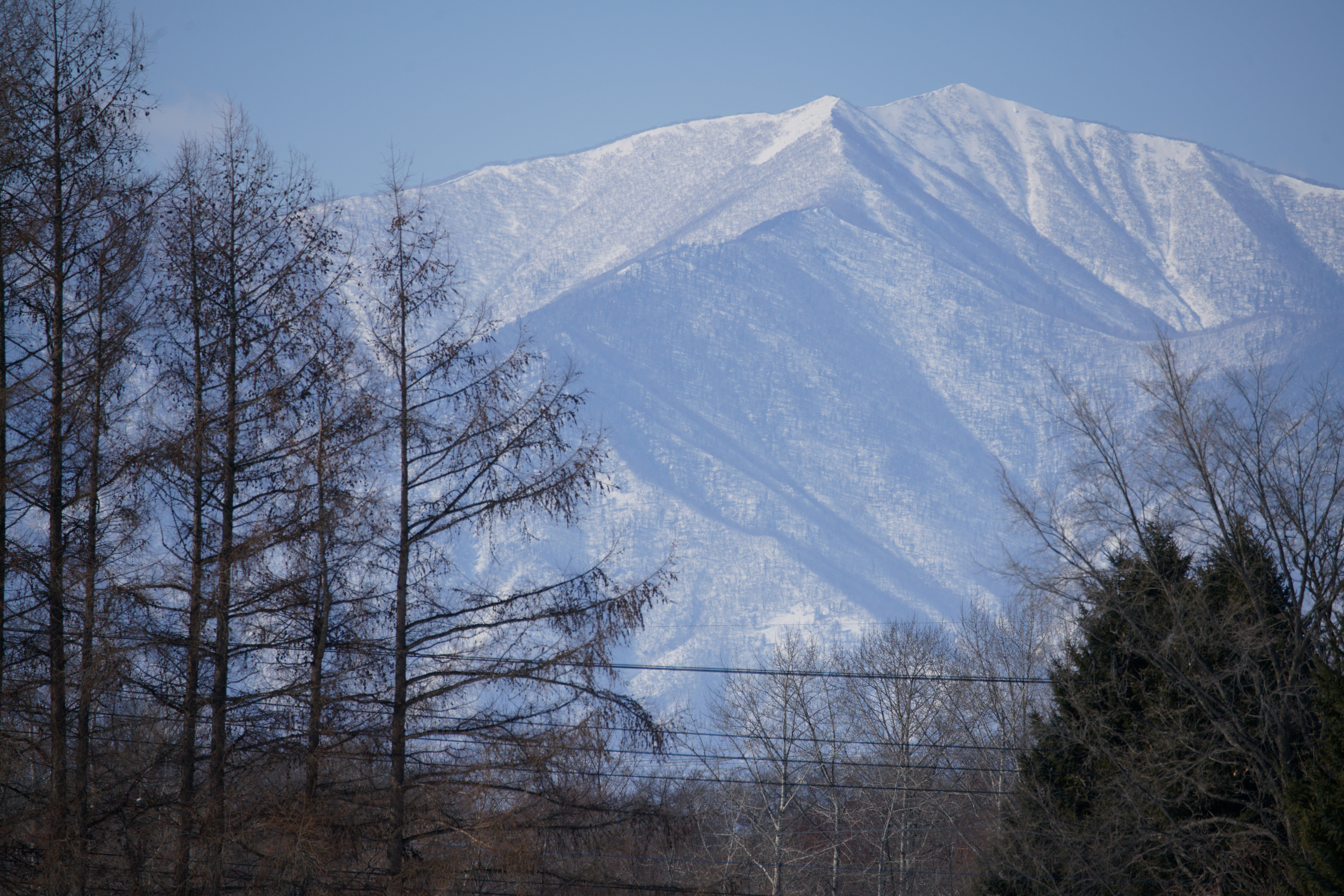 Beginner Snow near Tokyo: Winter Hikes & Snowshoeing Guide