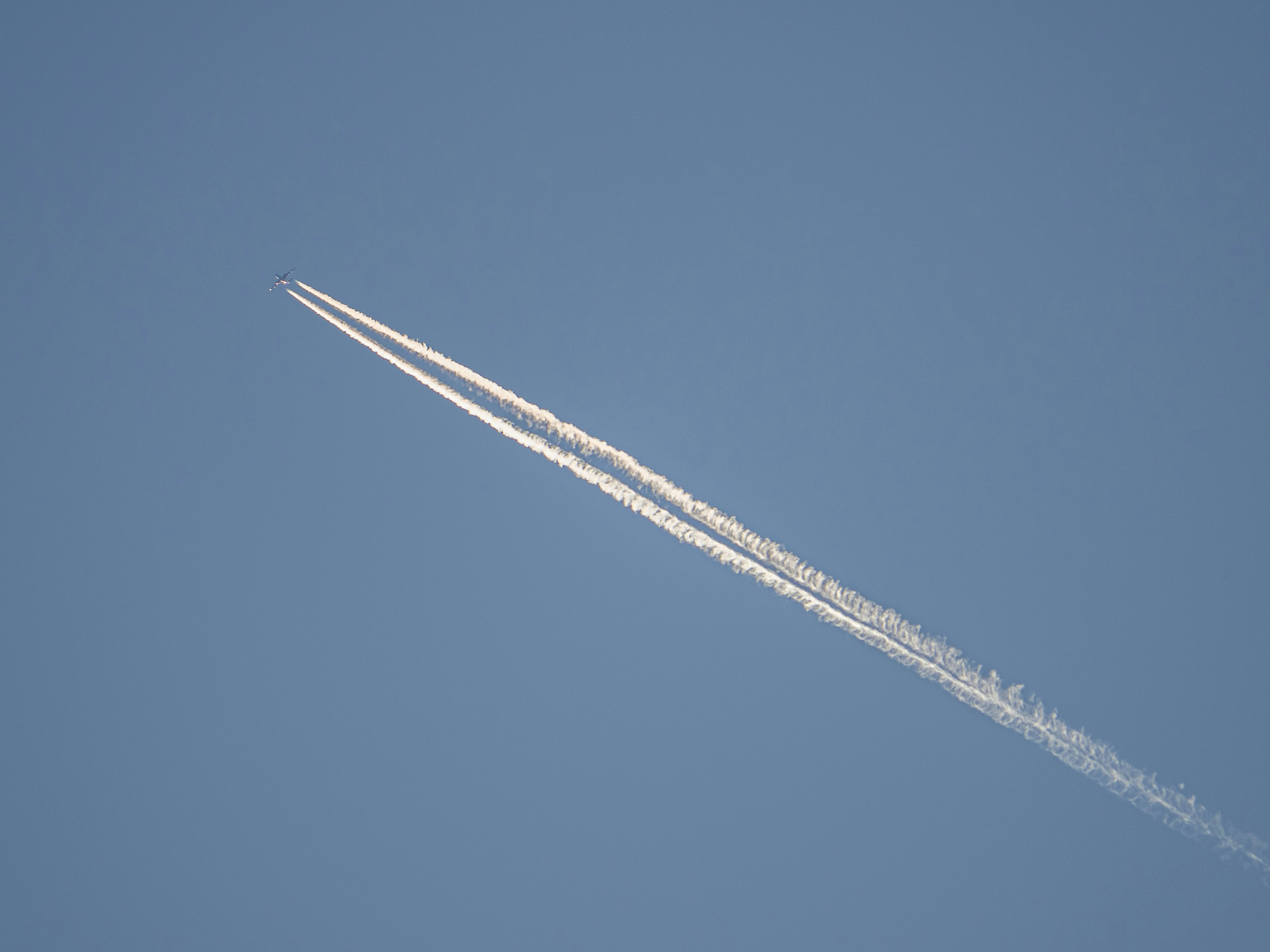 Photo by gopitri_prem