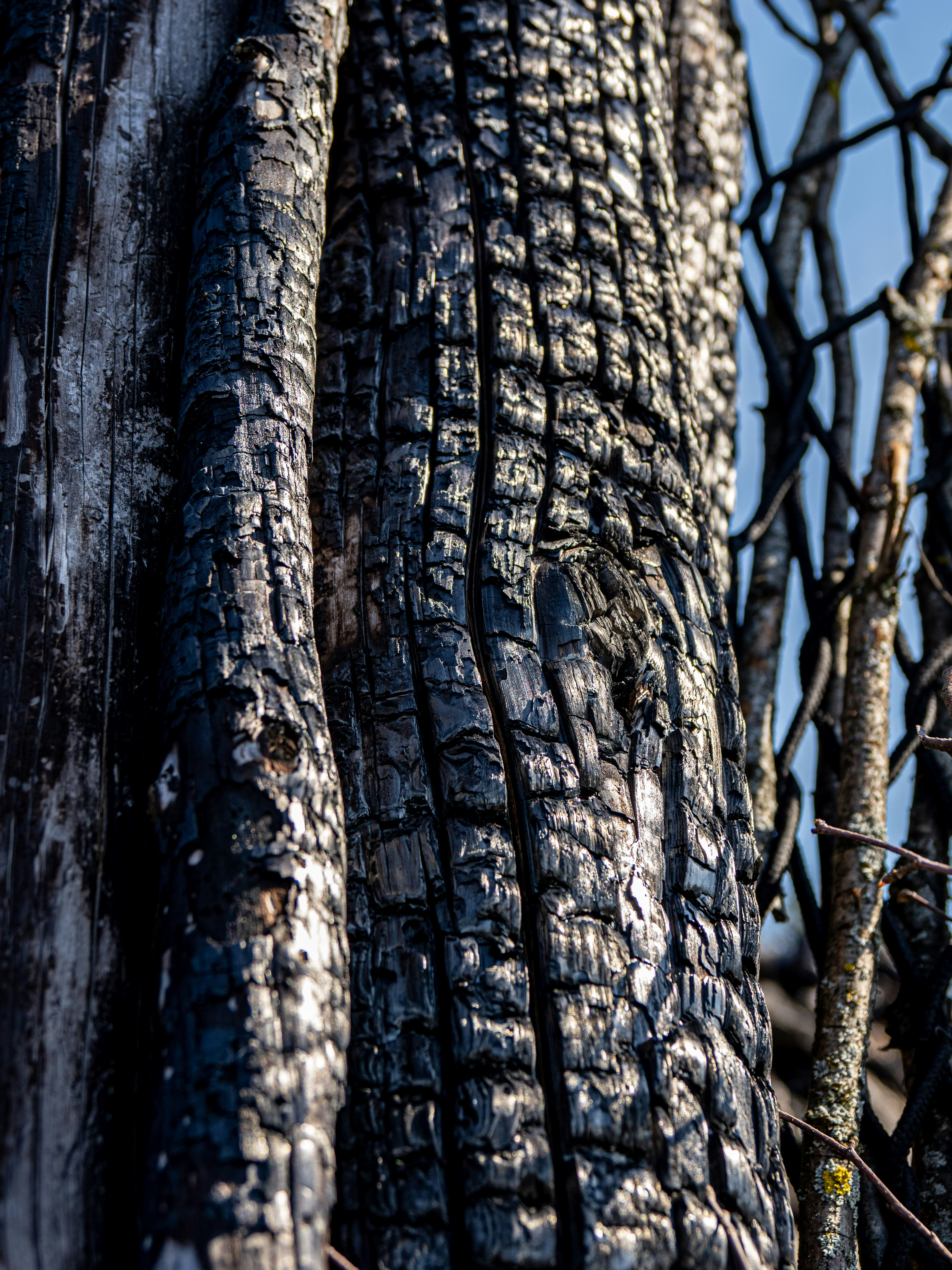 Photo by gopitri_prem