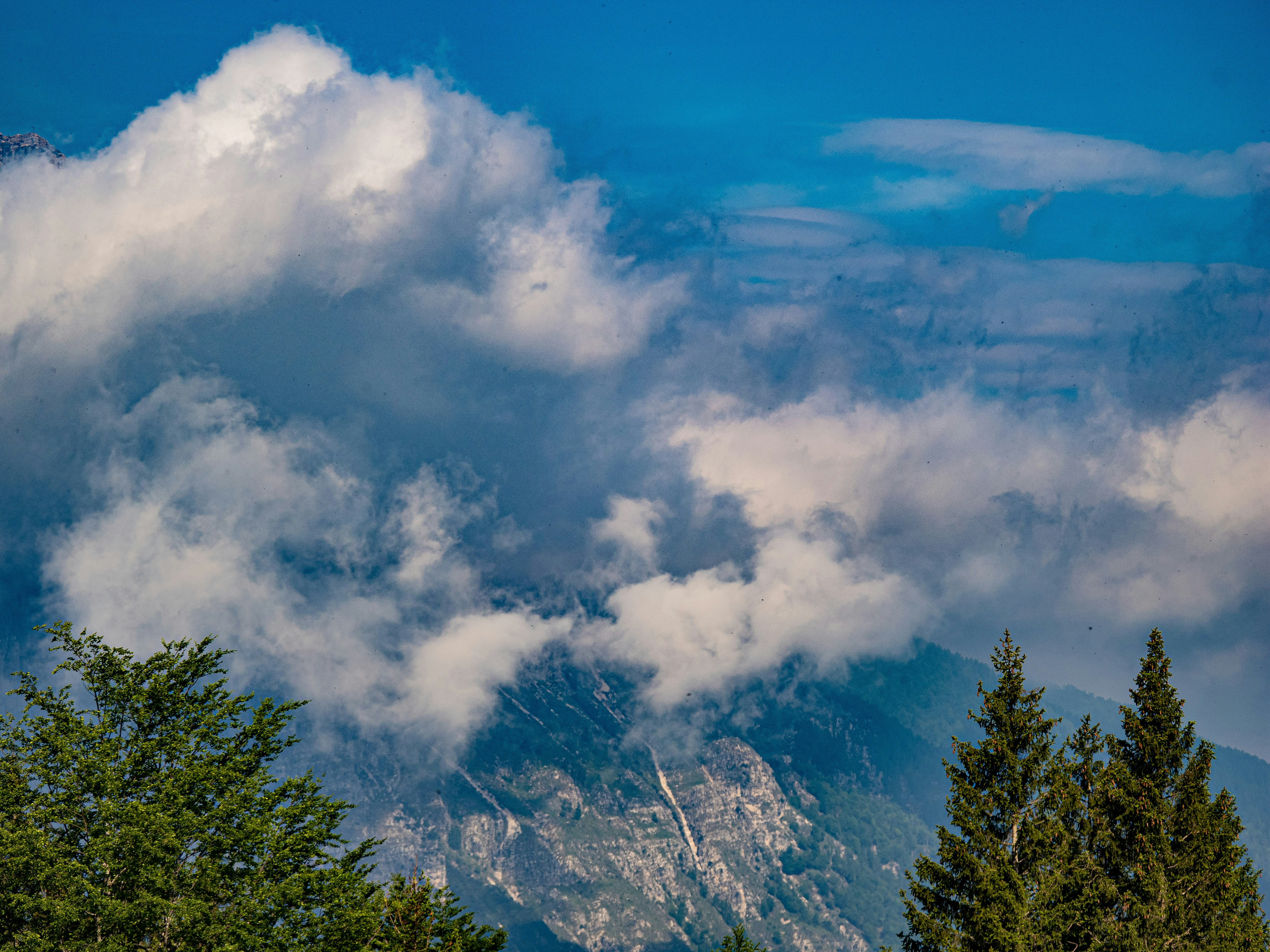 Photo by gopitri_prem