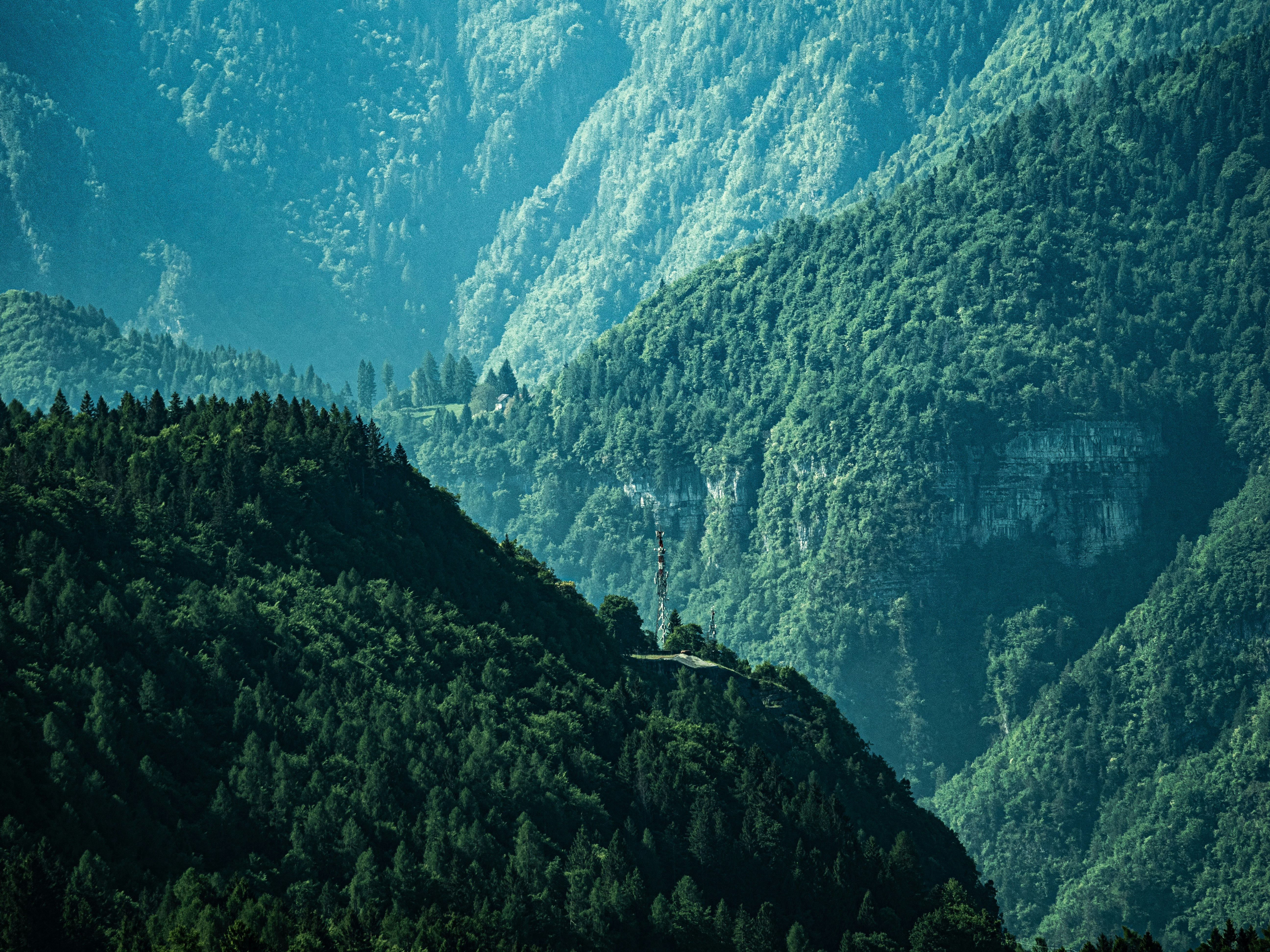 Image of a serene, scenic view of a forest and mountains, symbolizing privacy and a return to nature - dan hayhurst