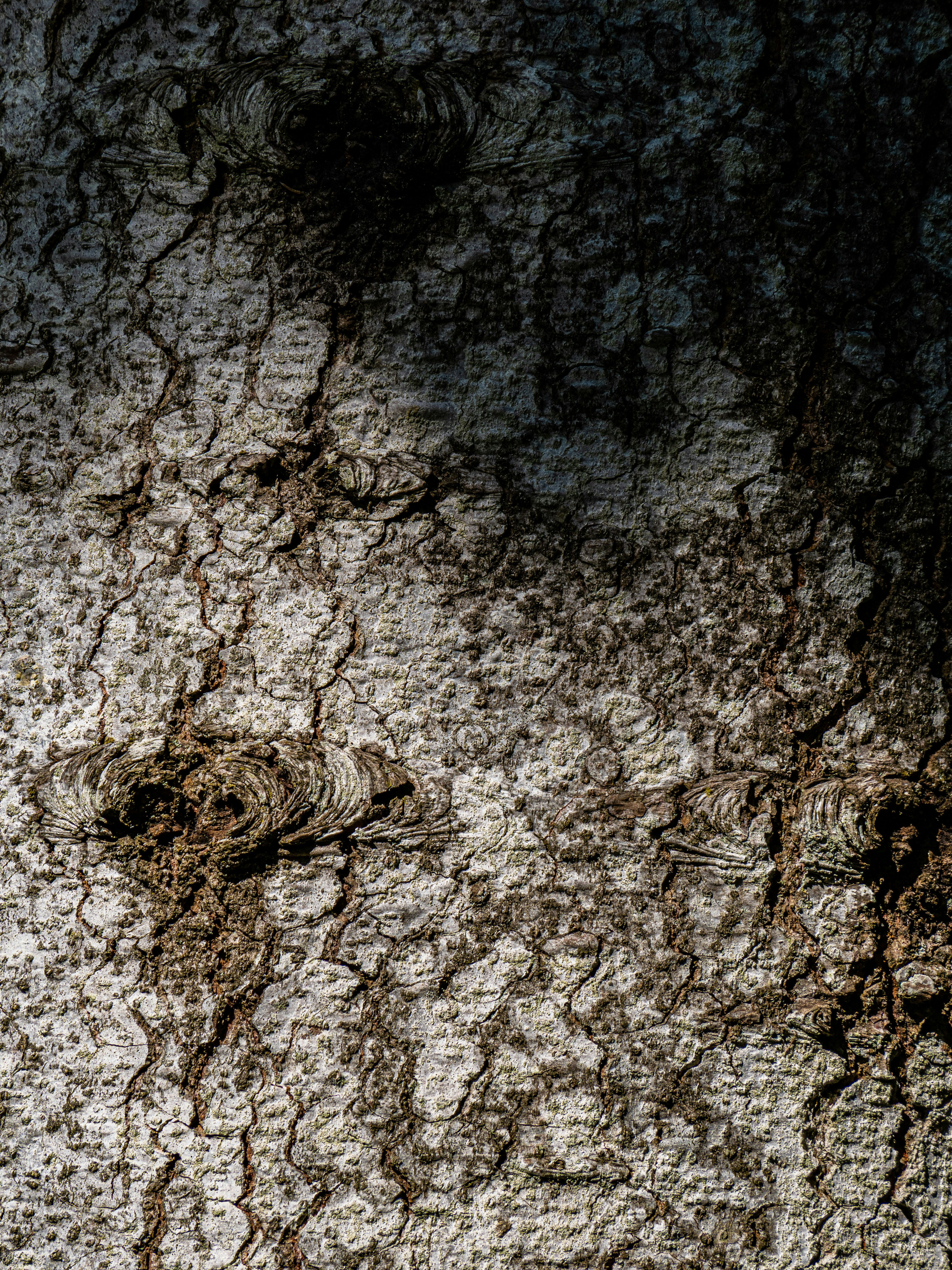 Photo by gopitri_prem