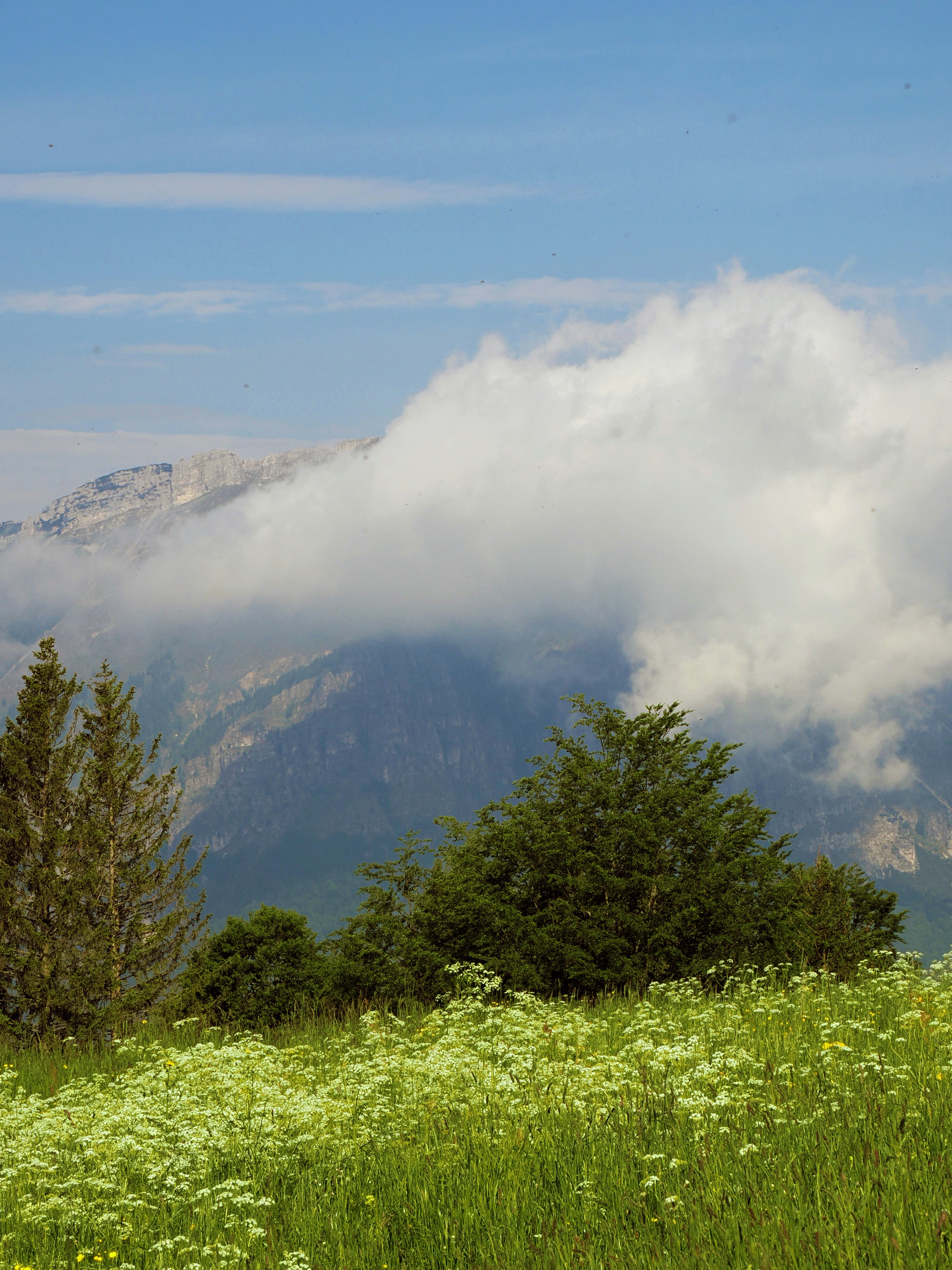 Photo by gopitri_prem