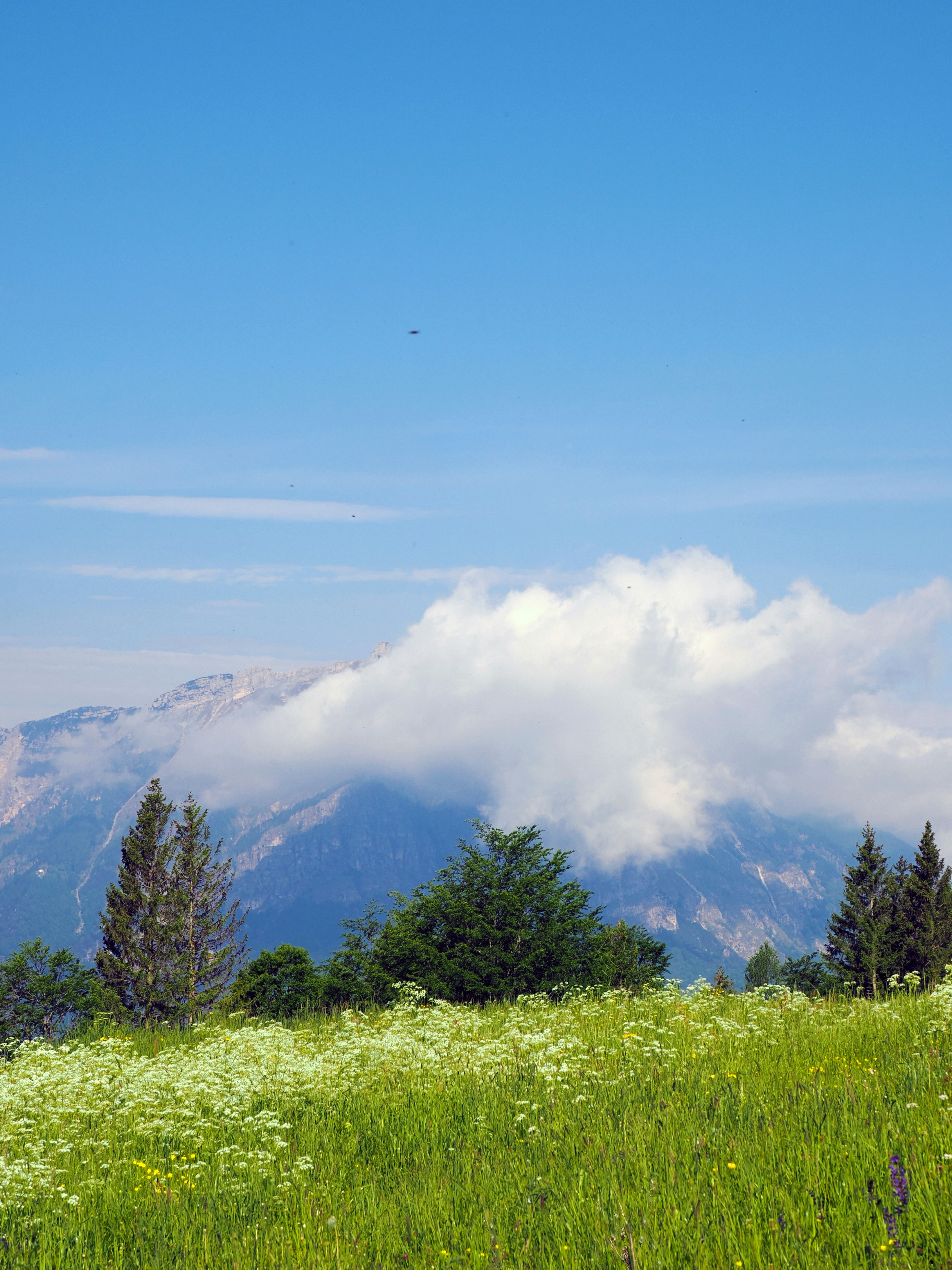 Photo by gopitri_prem