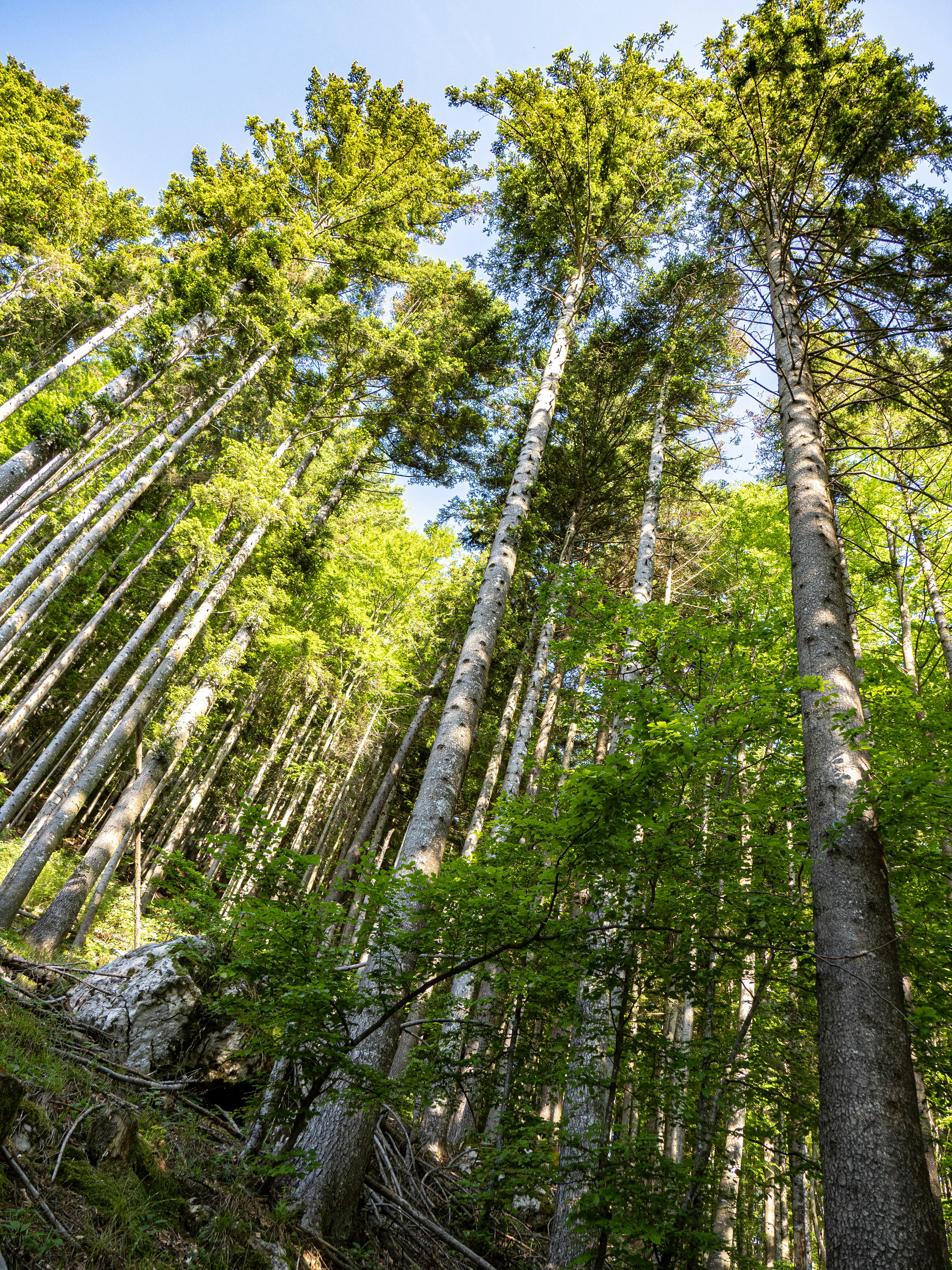 Photo by gopitri_prem