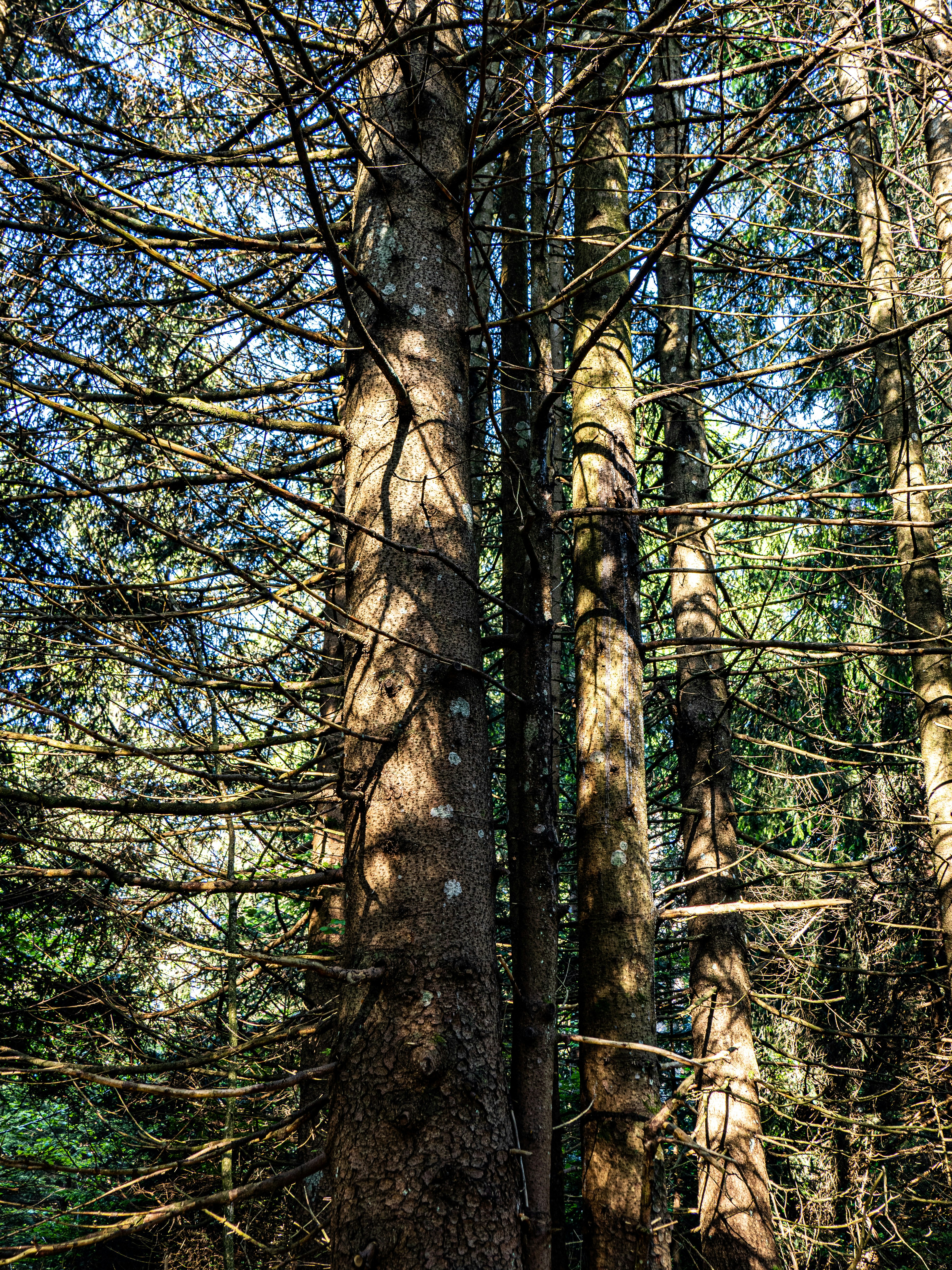 Photo by gopitri_prem