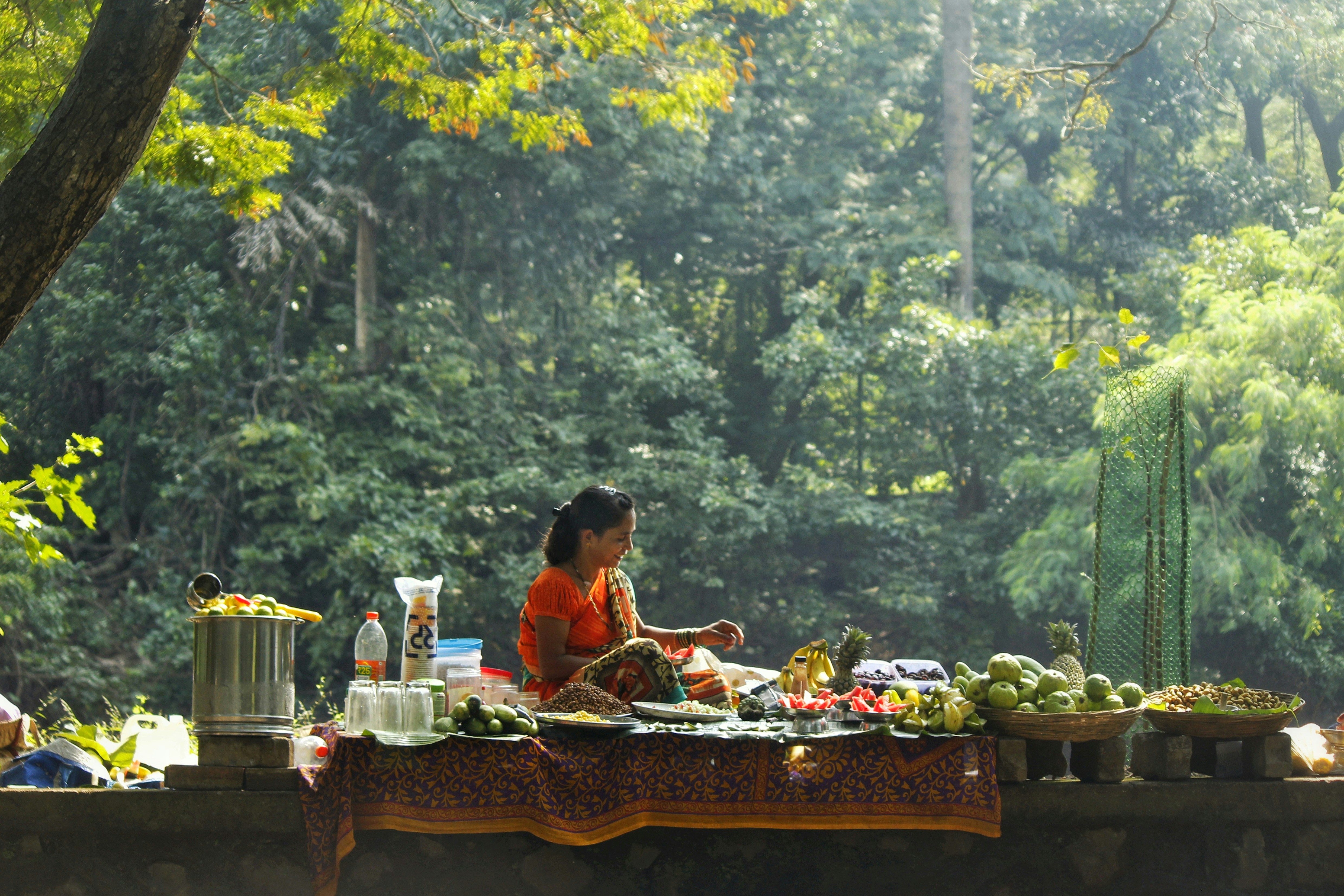 Forest bathing yoga wellness