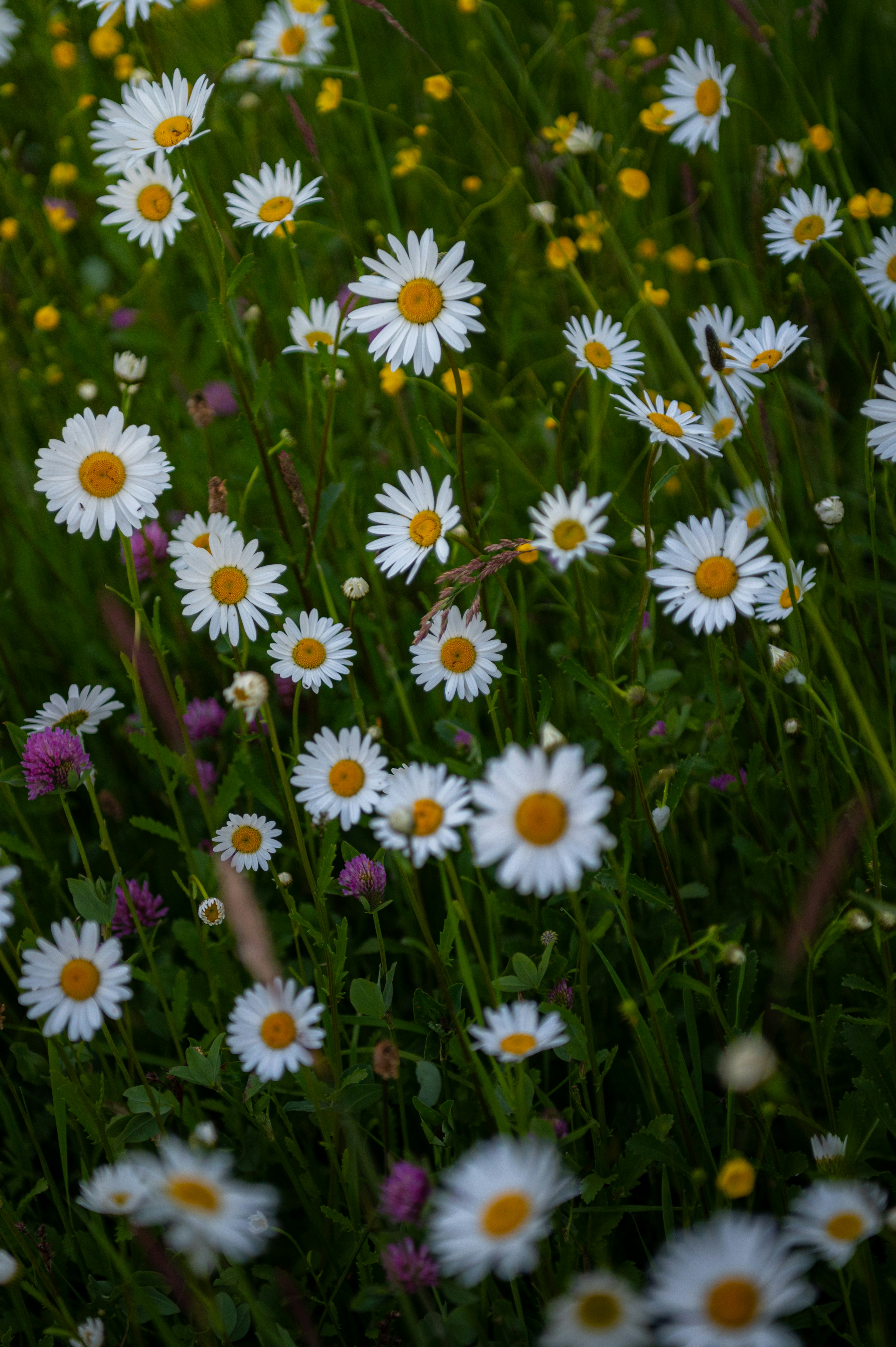 Photo by alexandra_p_d