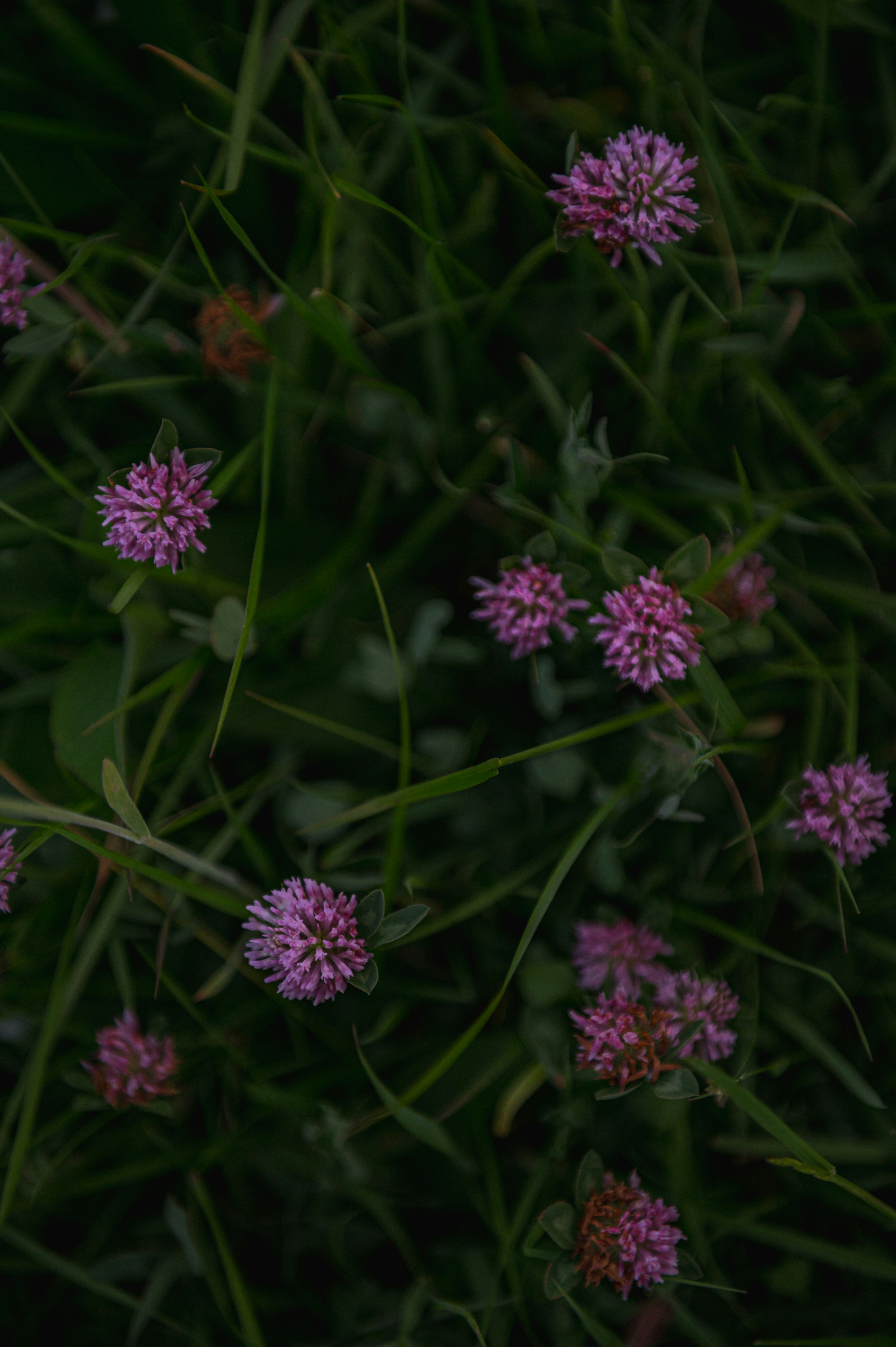 Photo by alexandra_p_d