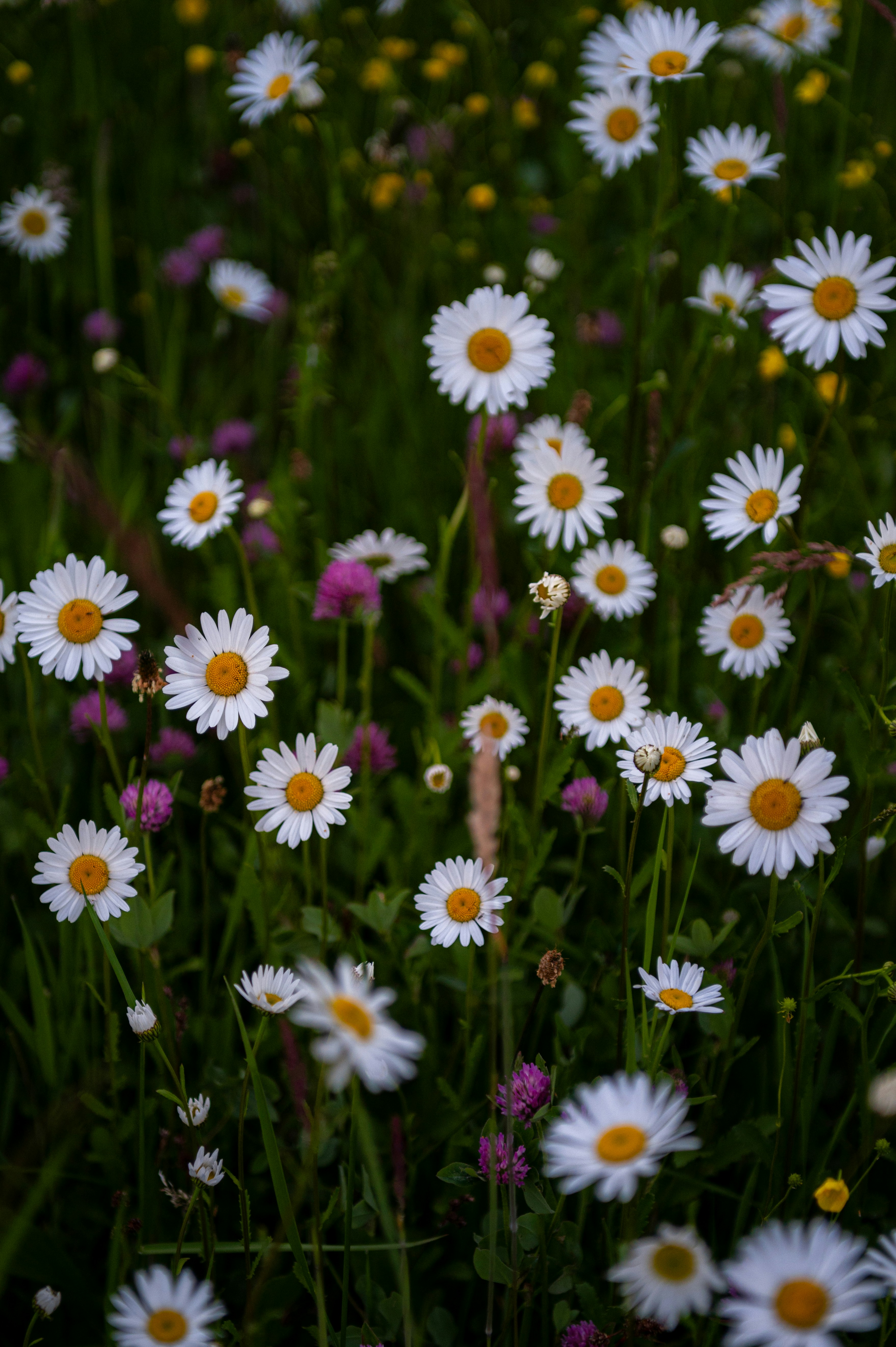 Photo by alexandra_p_d