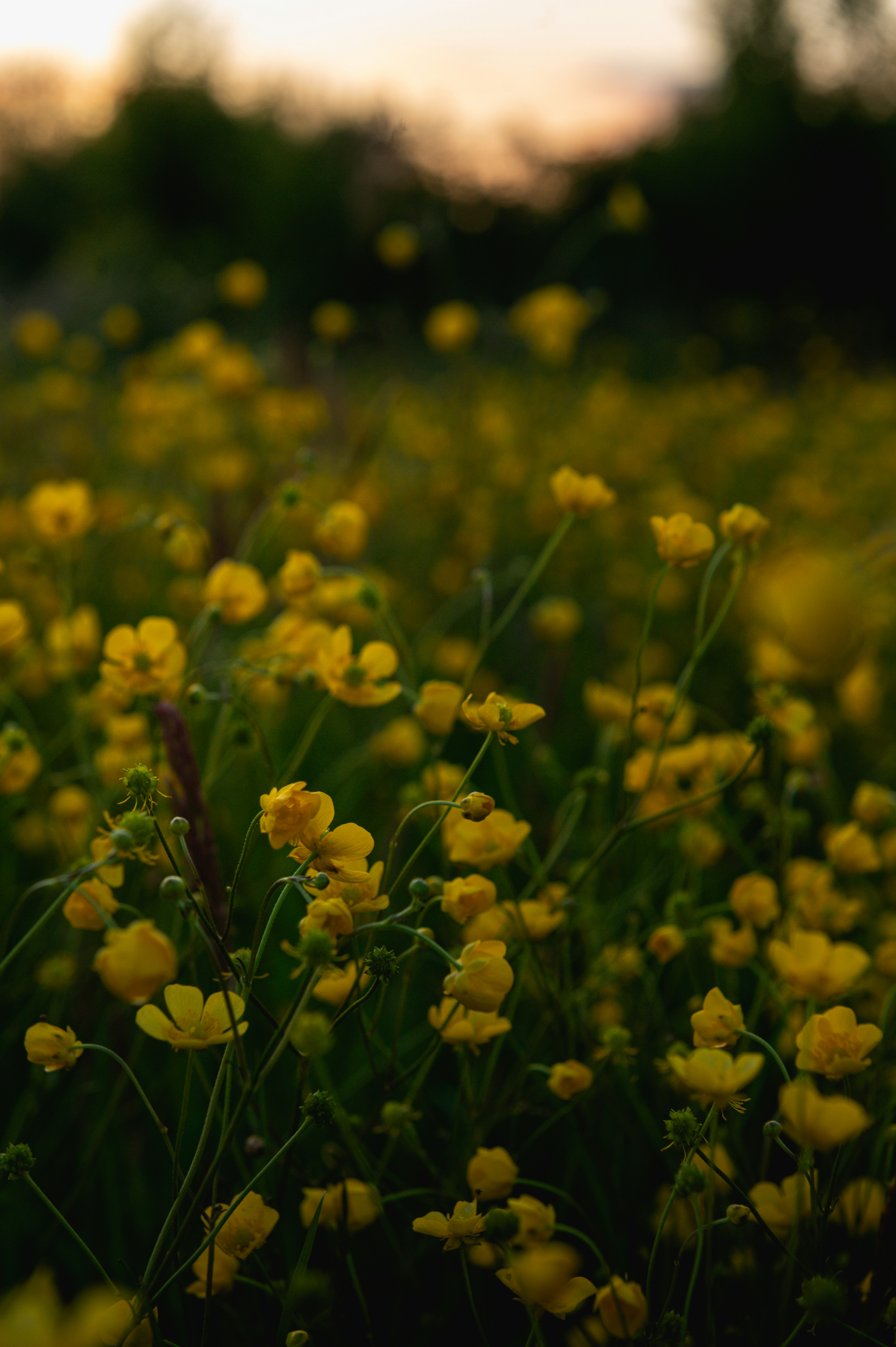 Photo by alexandra_p_d