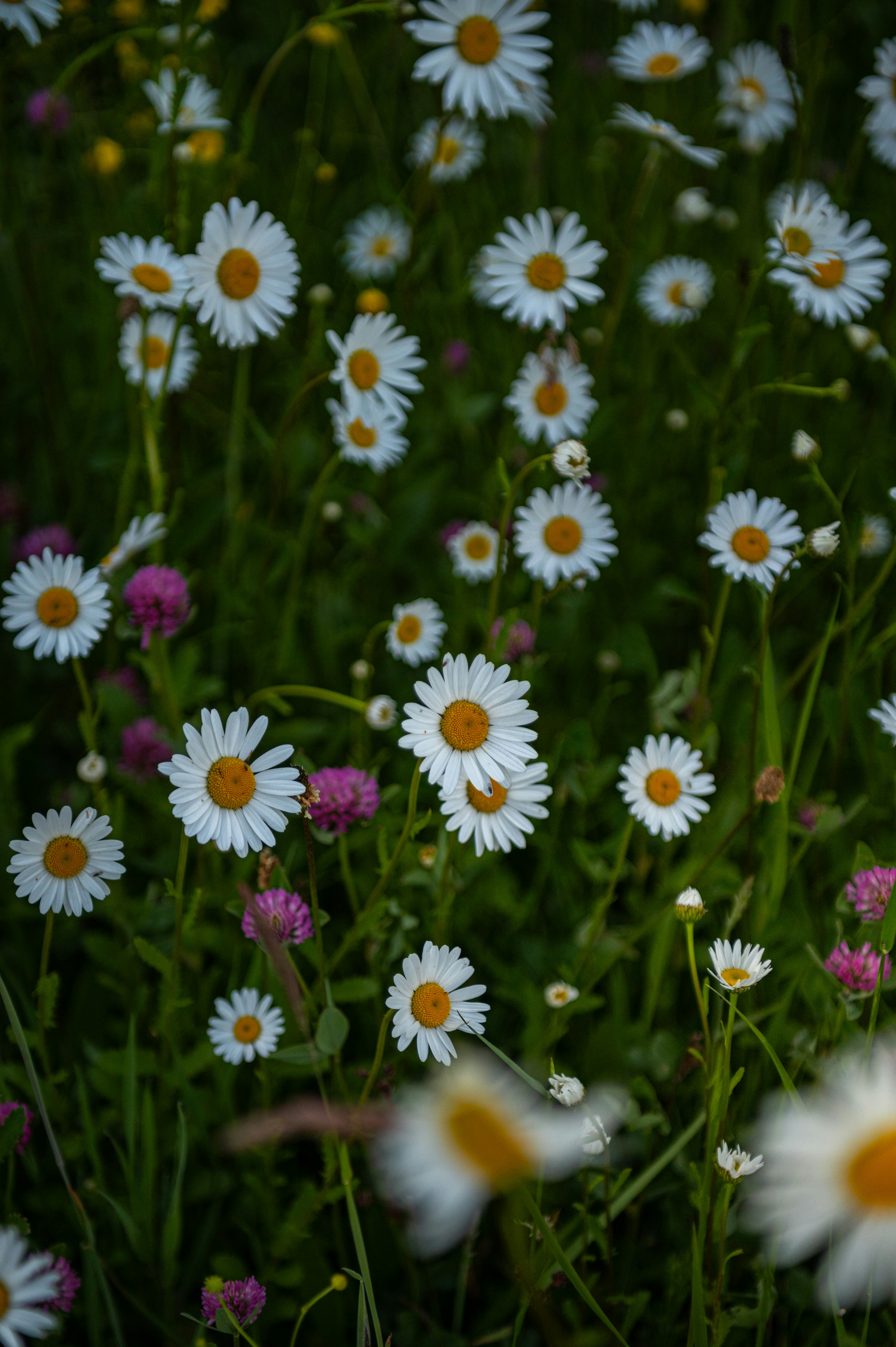 Photo by alexandra_p_d