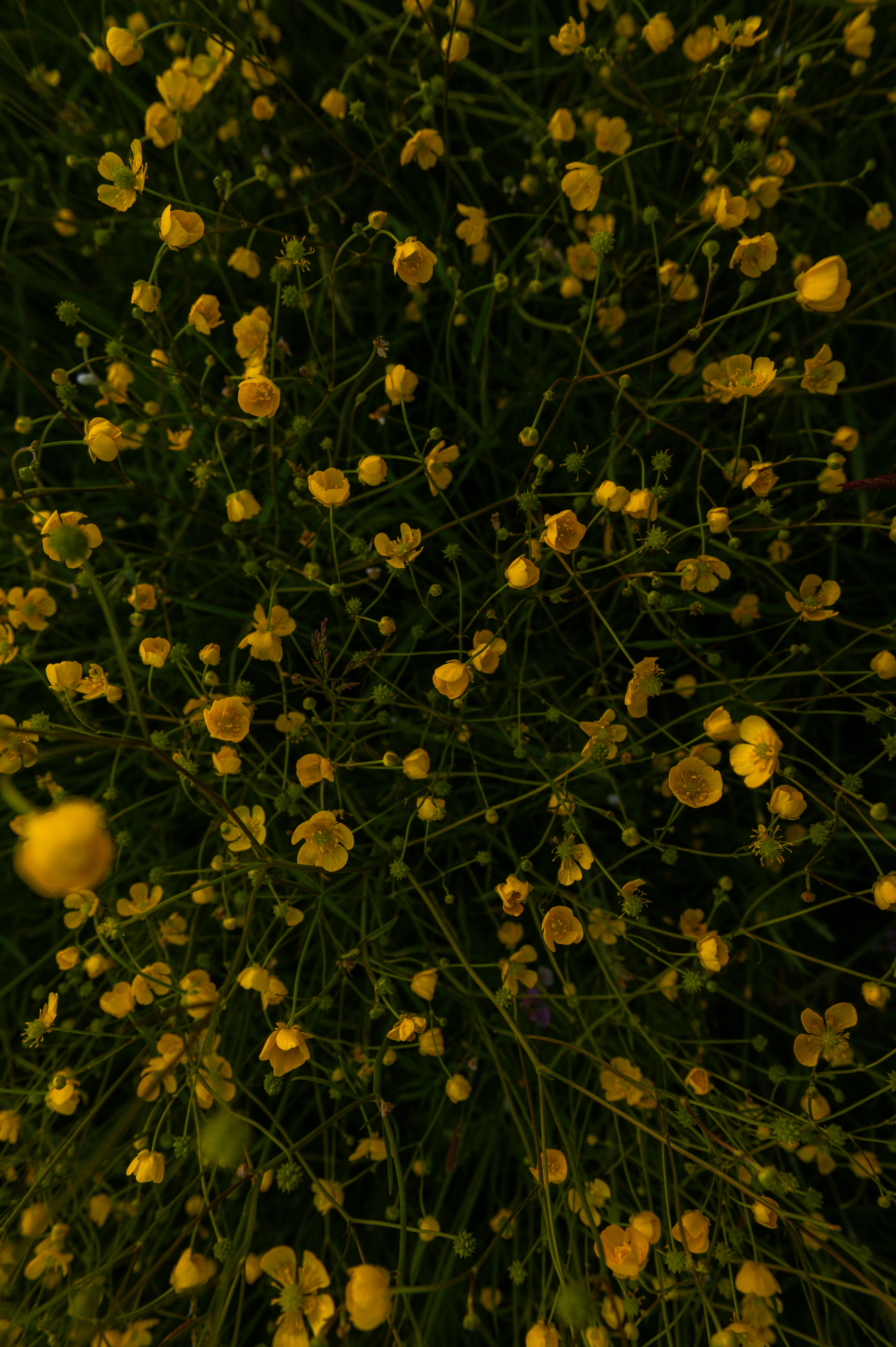 Photo by alexandra_p_d