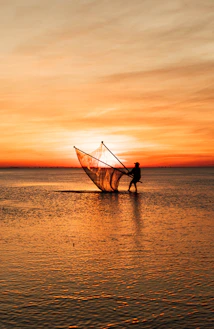 Fisherman casts a net at sunset.