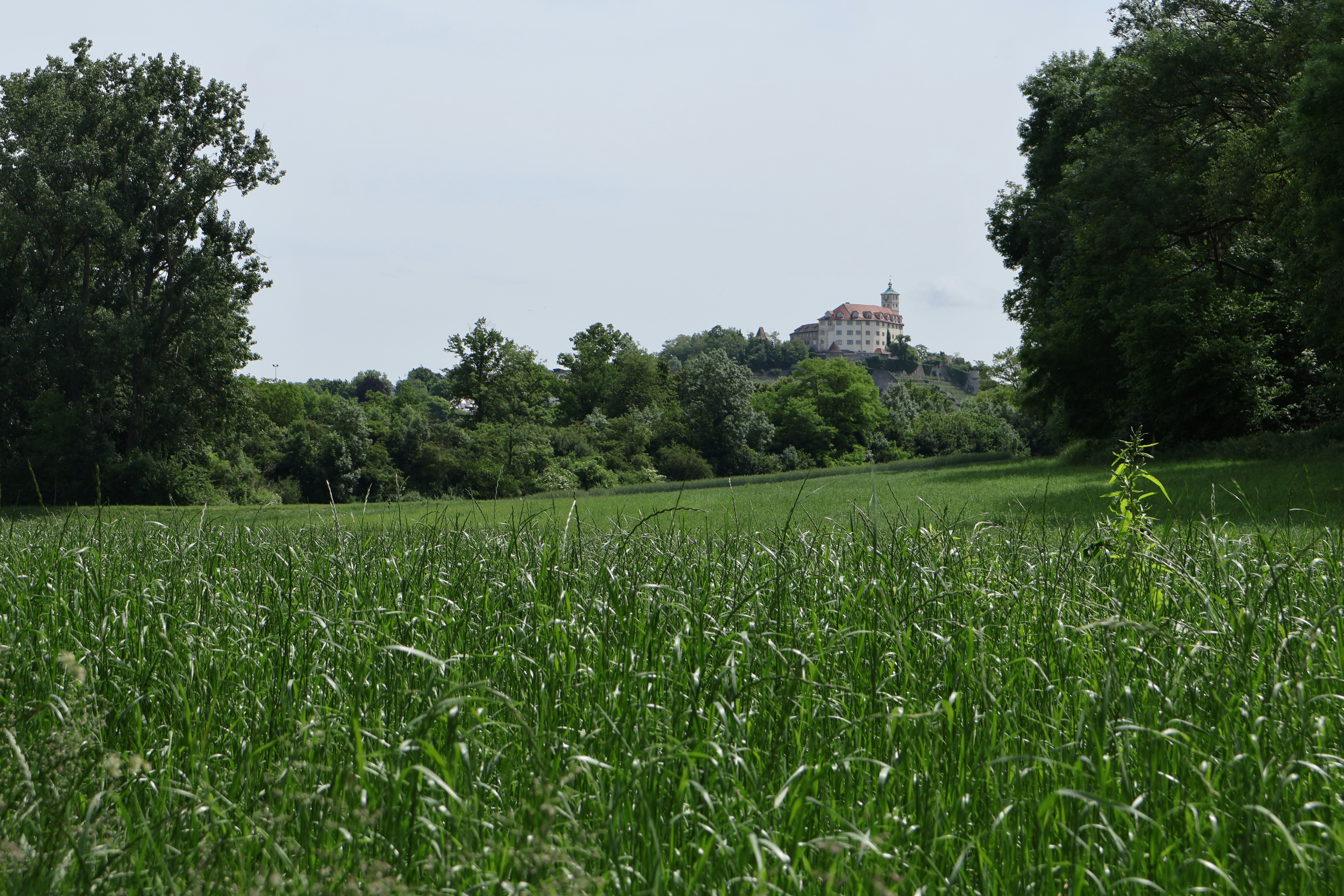Wahlkampfauftakt zur Landtagswahl 2026 mit Meike Günter