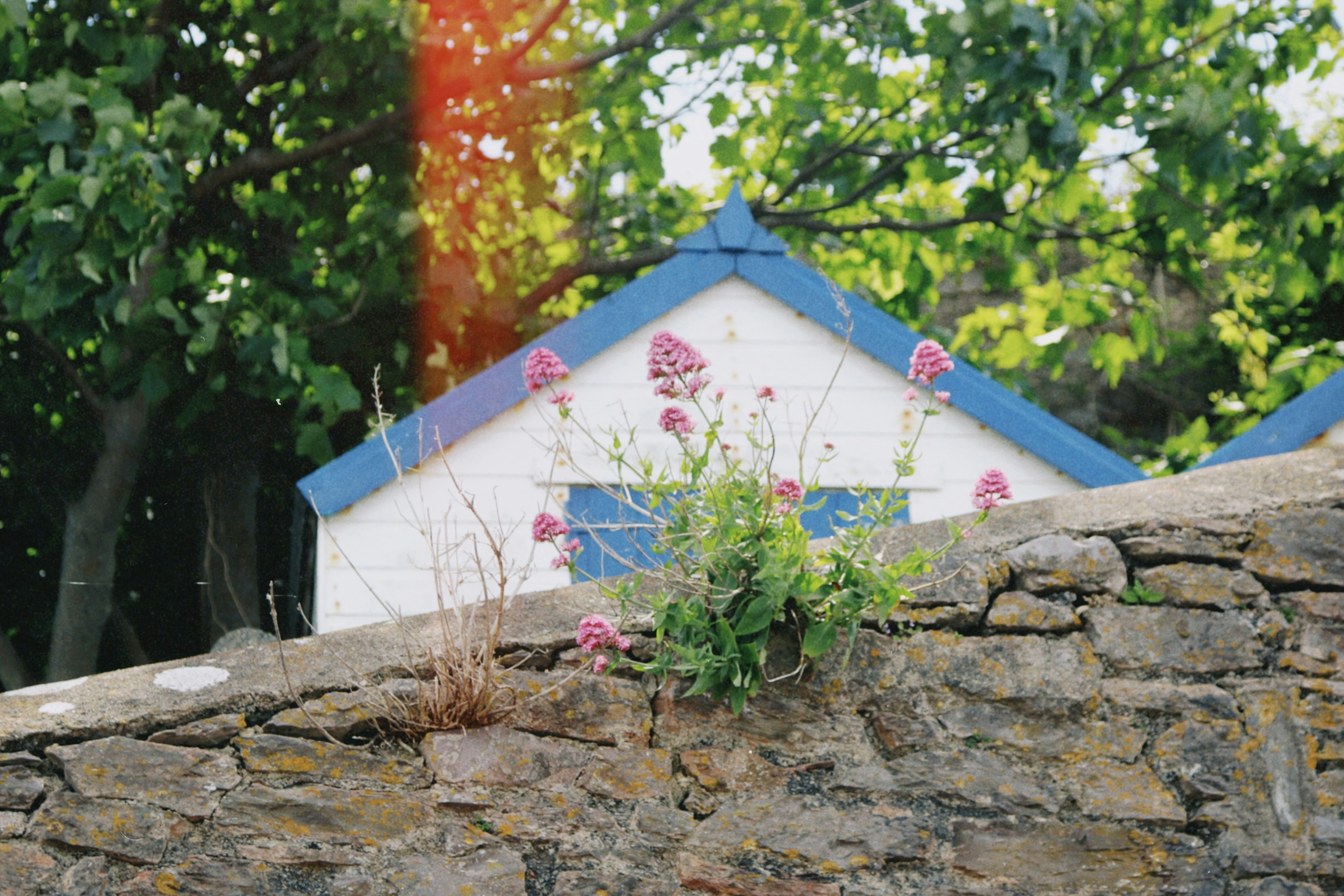 Photo by tanyabarrow