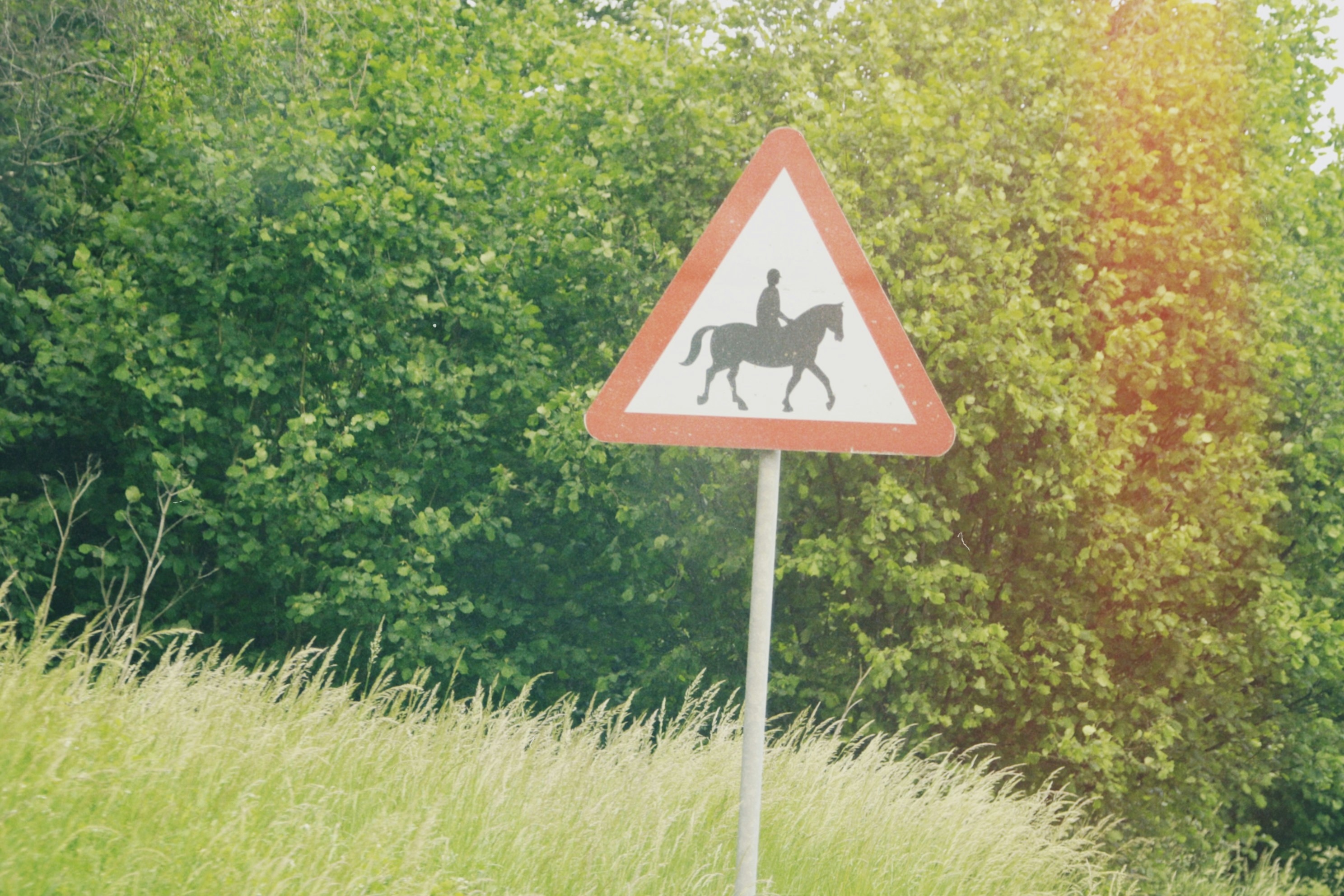 Photo by tanyabarrow