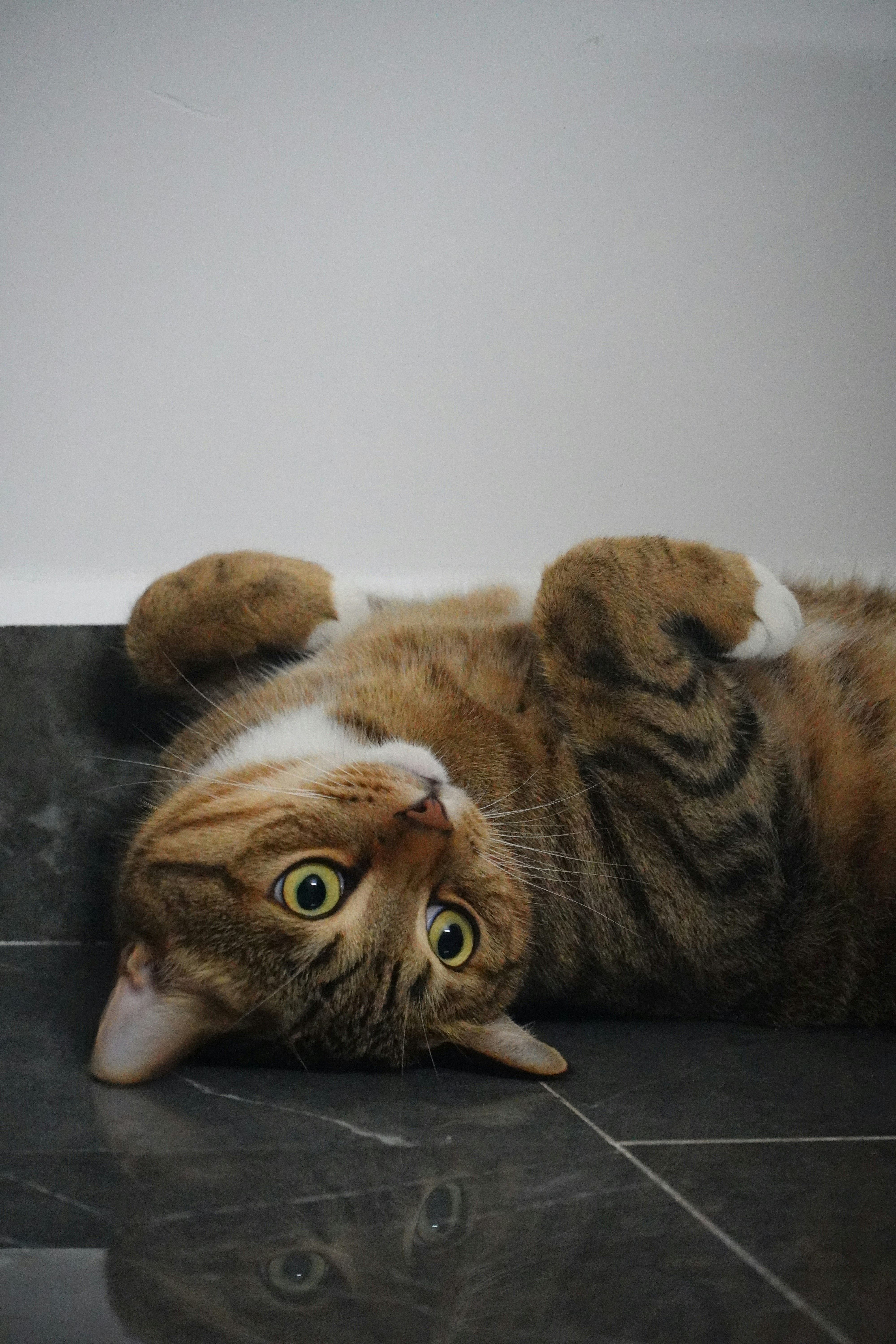 Photo by bubblyslayer