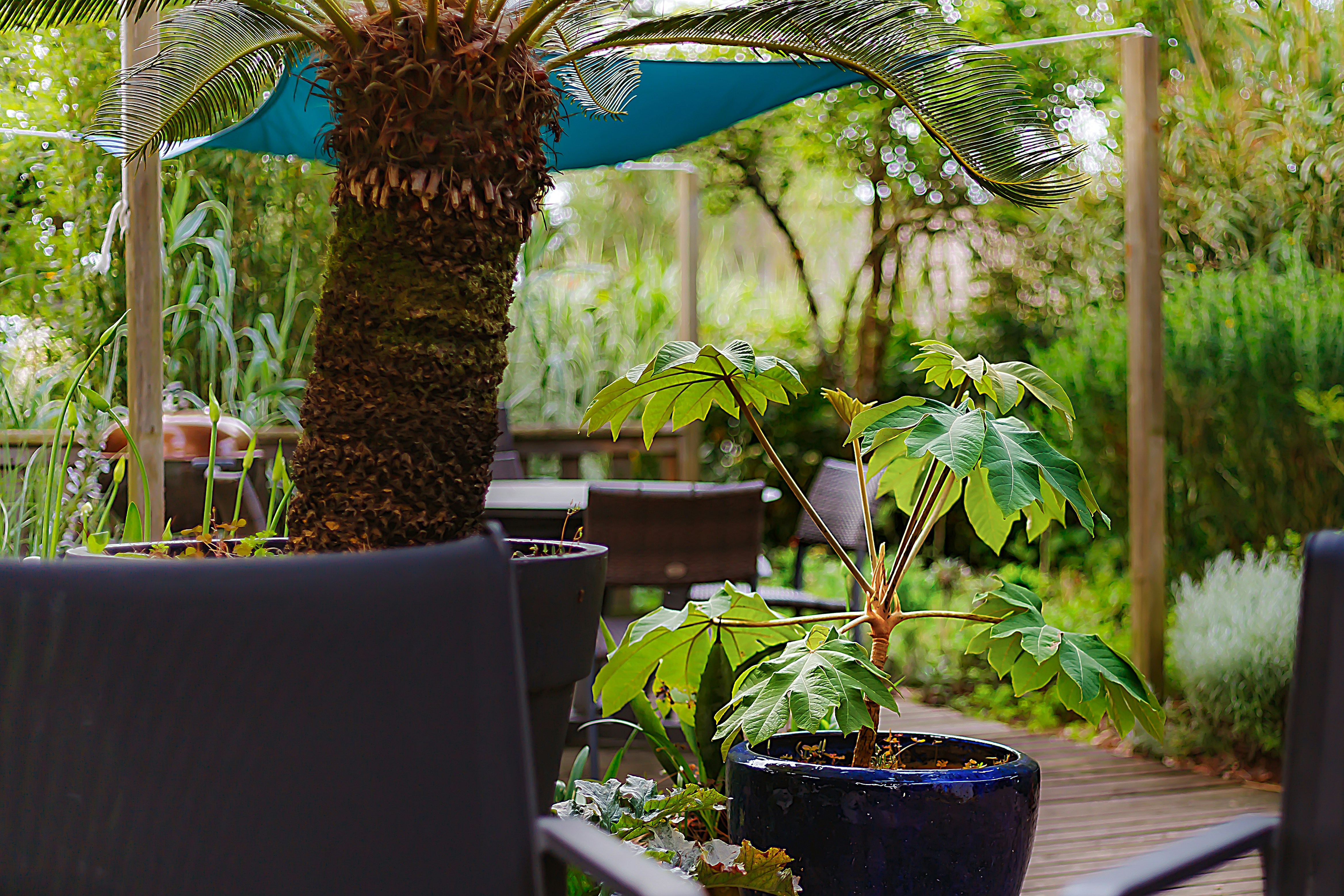 Photo by arizonanthony