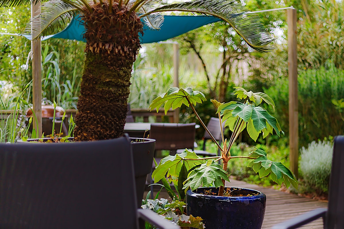 Outdoor seating area surrounded by lush greenery and garden plantings