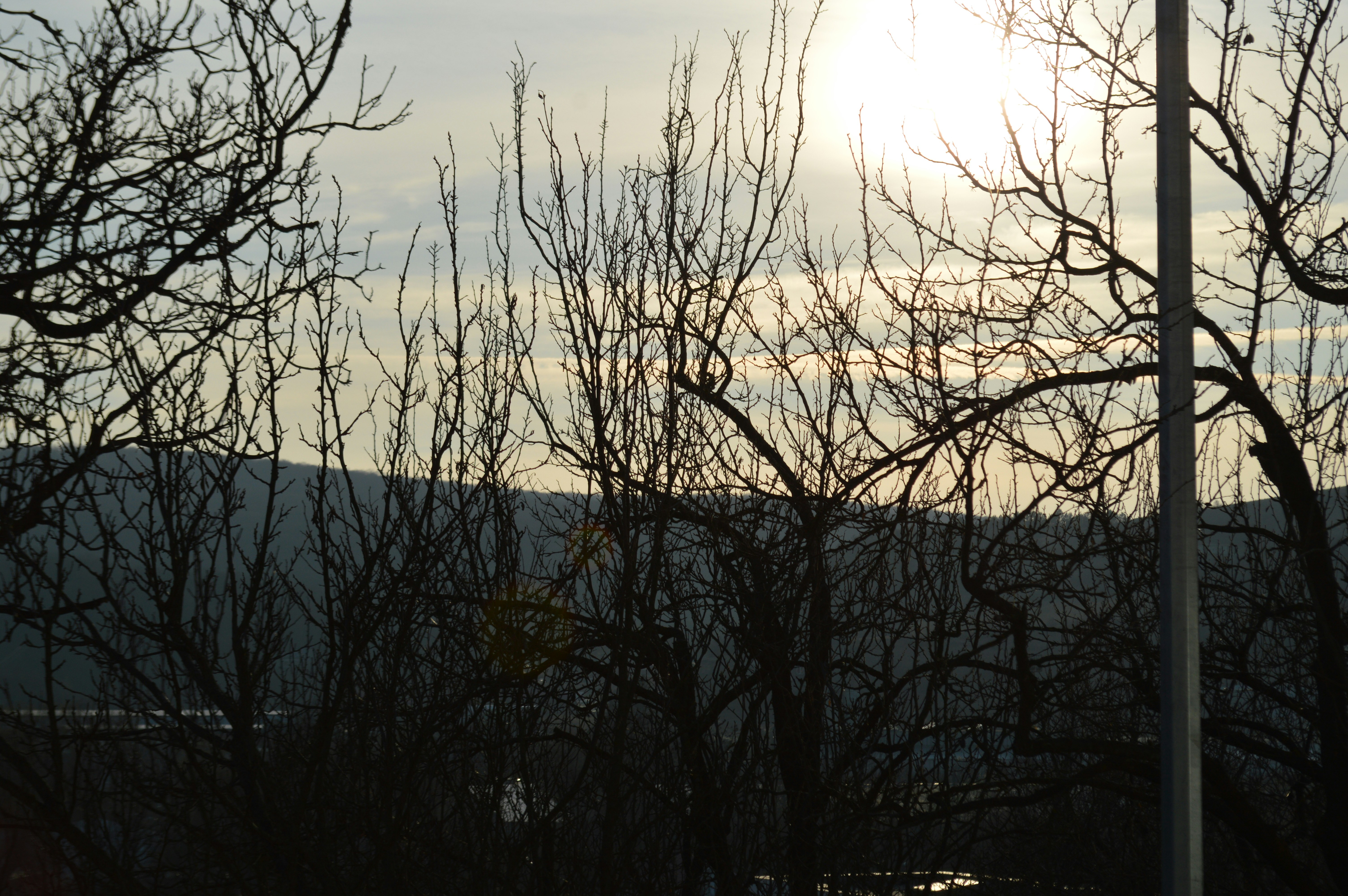 Bare trees silhouetted against a cloudy sky.