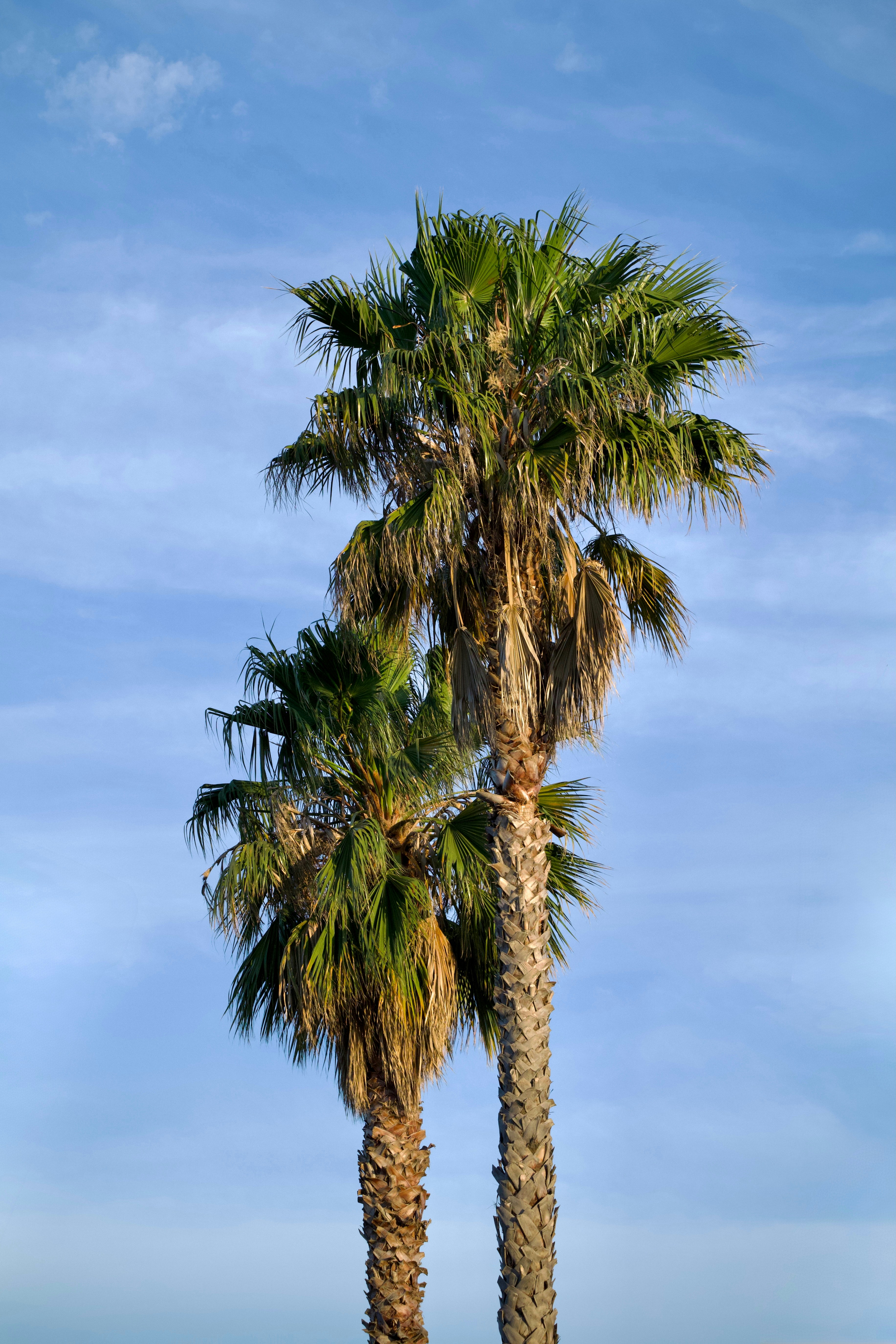 Photo by sarguninder