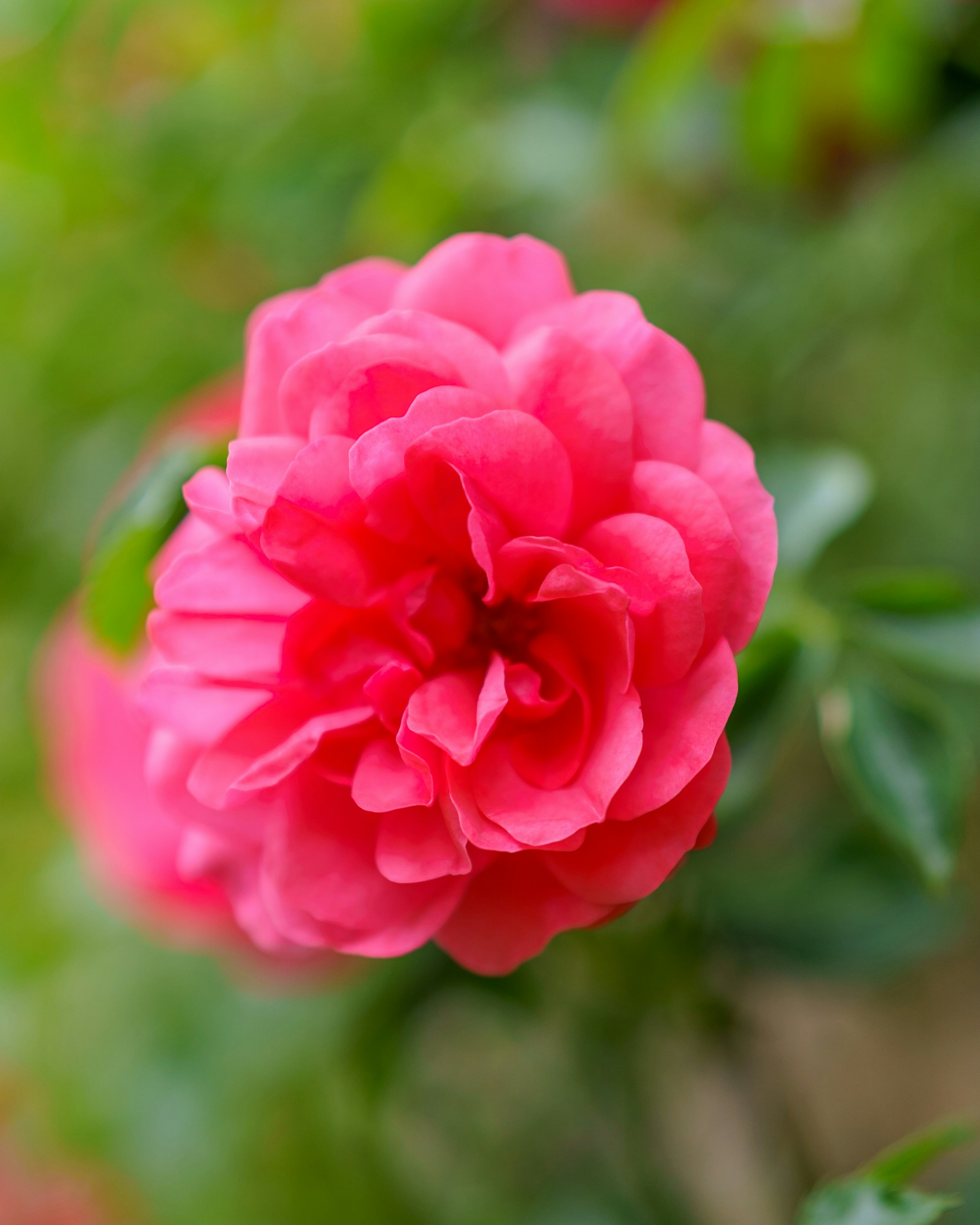 Photo by bangscreative