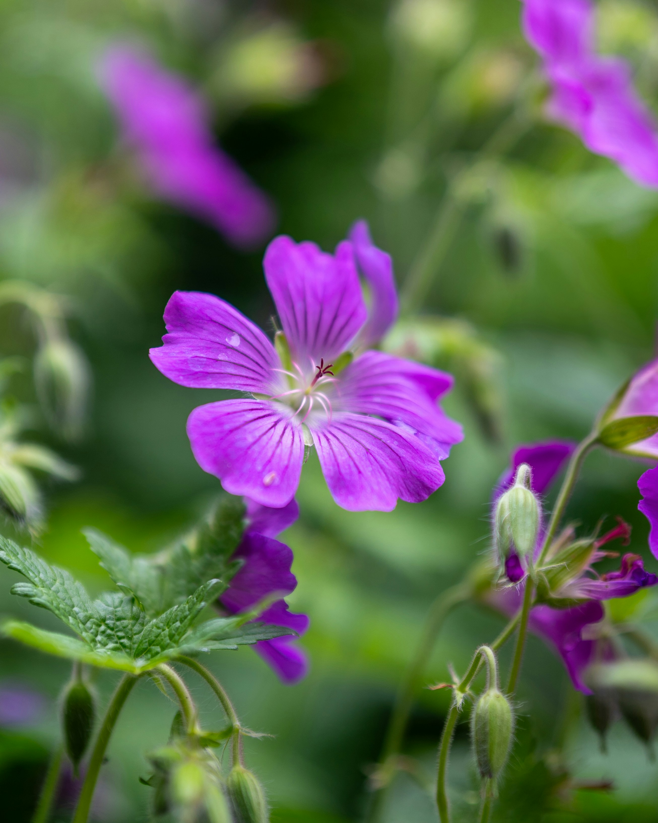 Photo by bangscreative