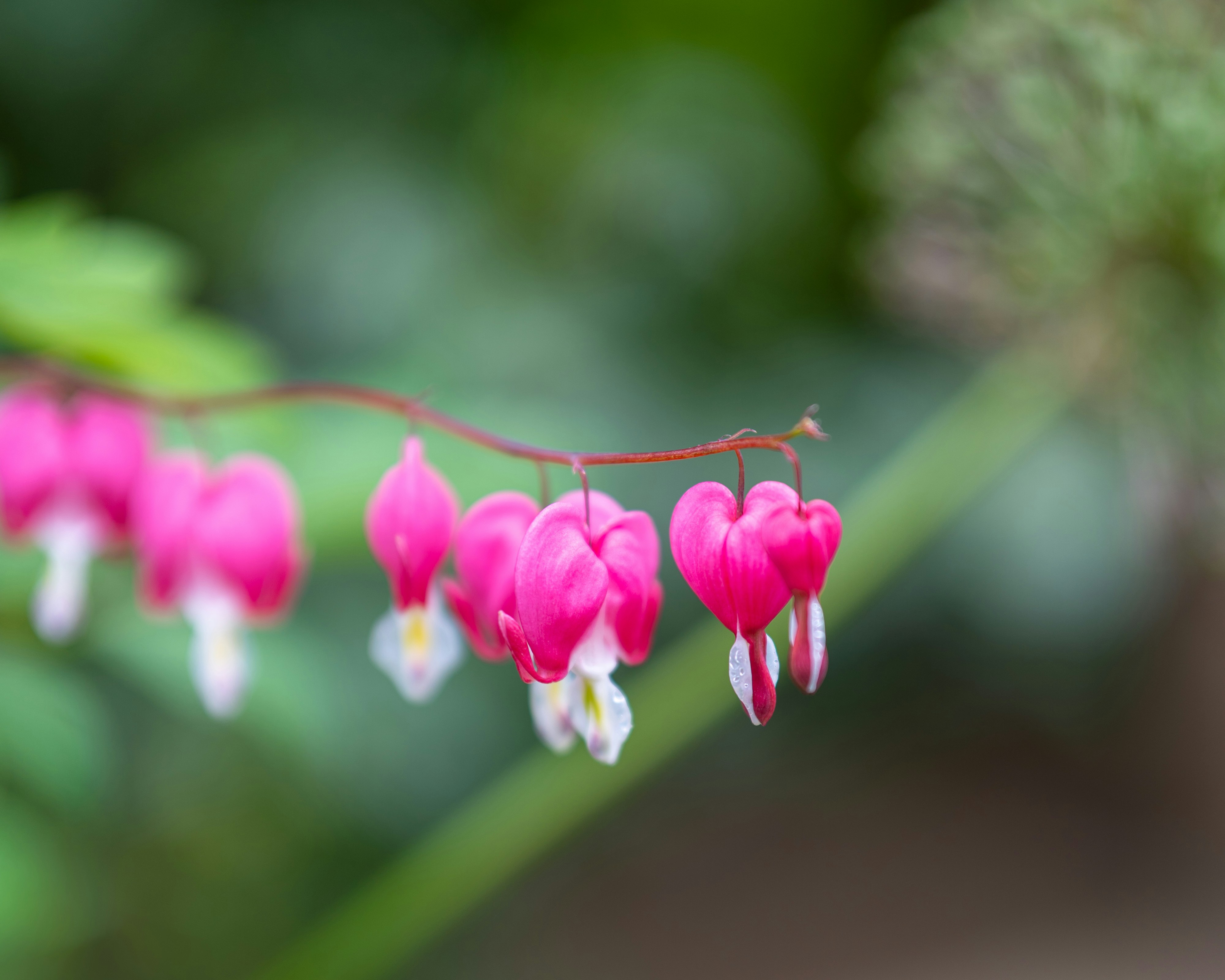 Photo by bangscreative