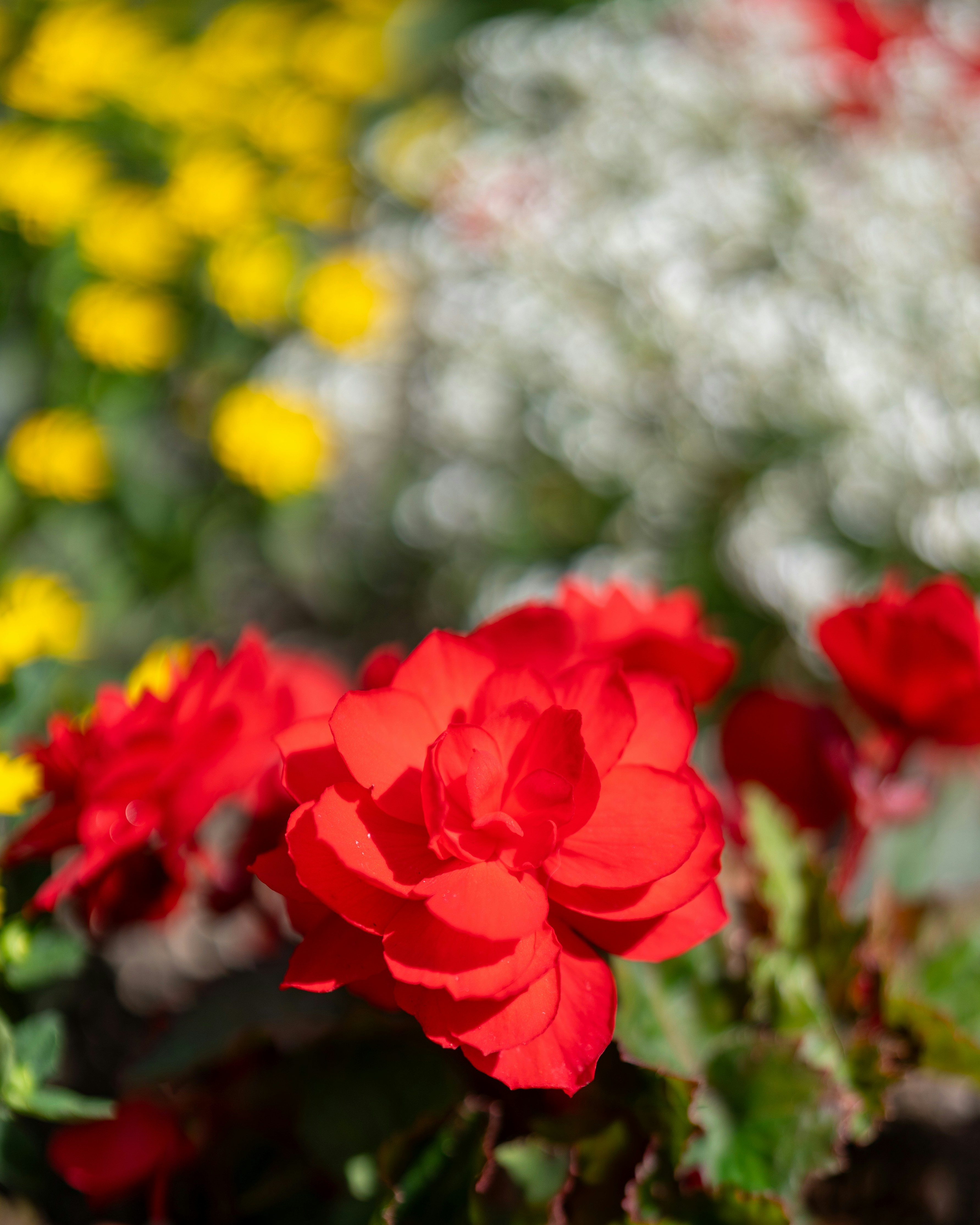 Photo by bangscreative